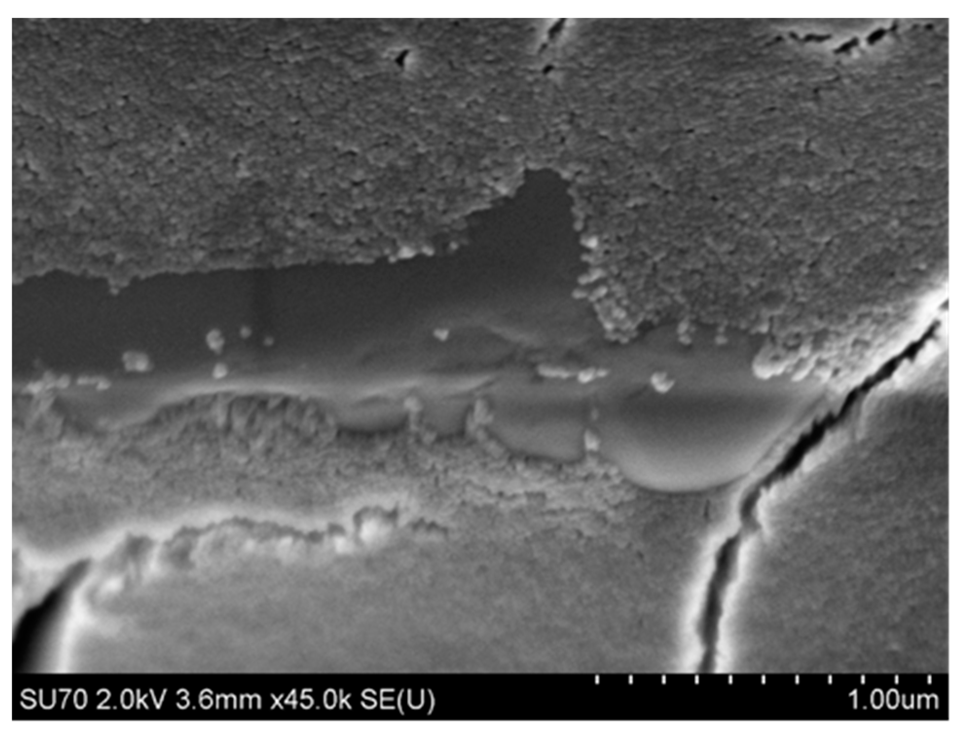 Nanomaterials 11 01714 g015 Nanomaterials 11 01714 g015