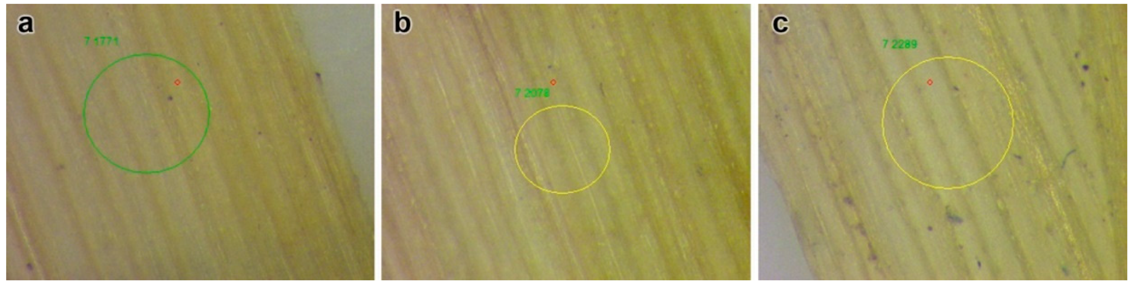 Nanomaterials 11 01722 g004