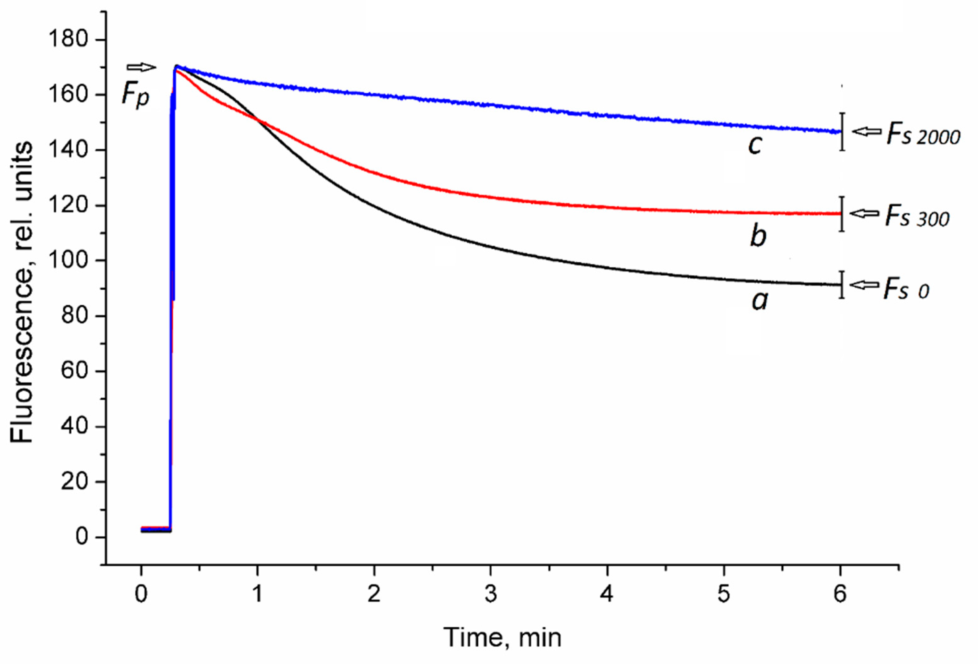 Nanomaterials 11 01722 g005