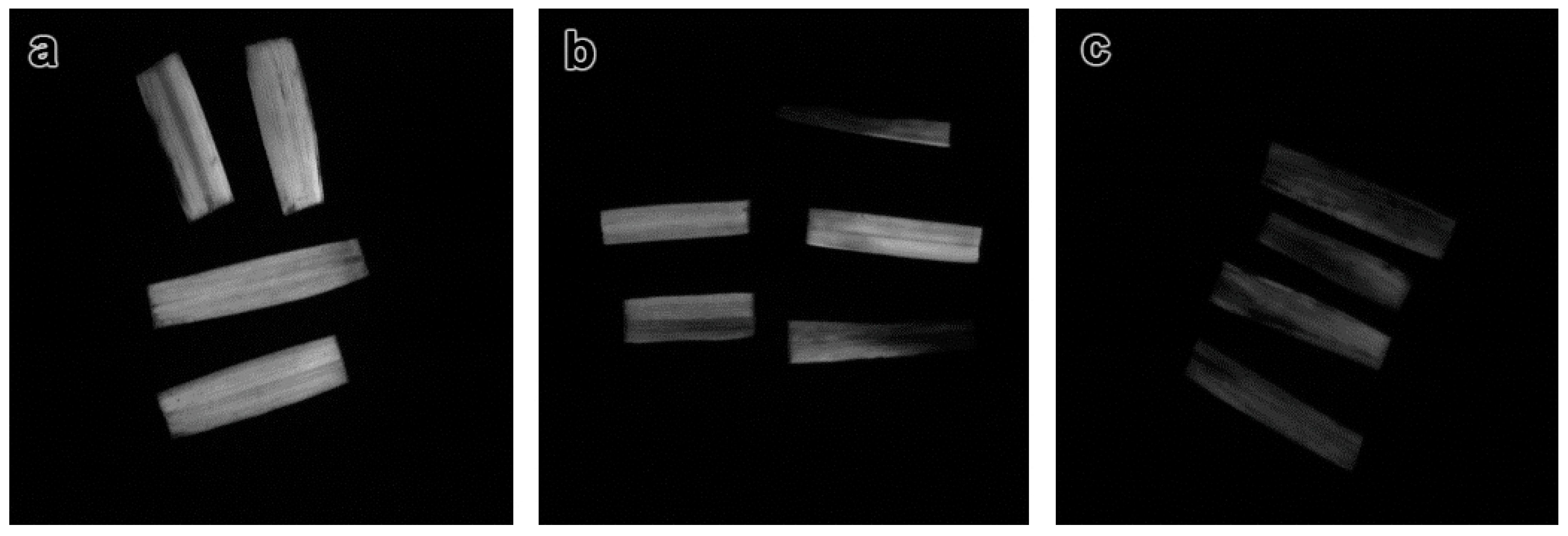 Nanomaterials 11 01722 g006