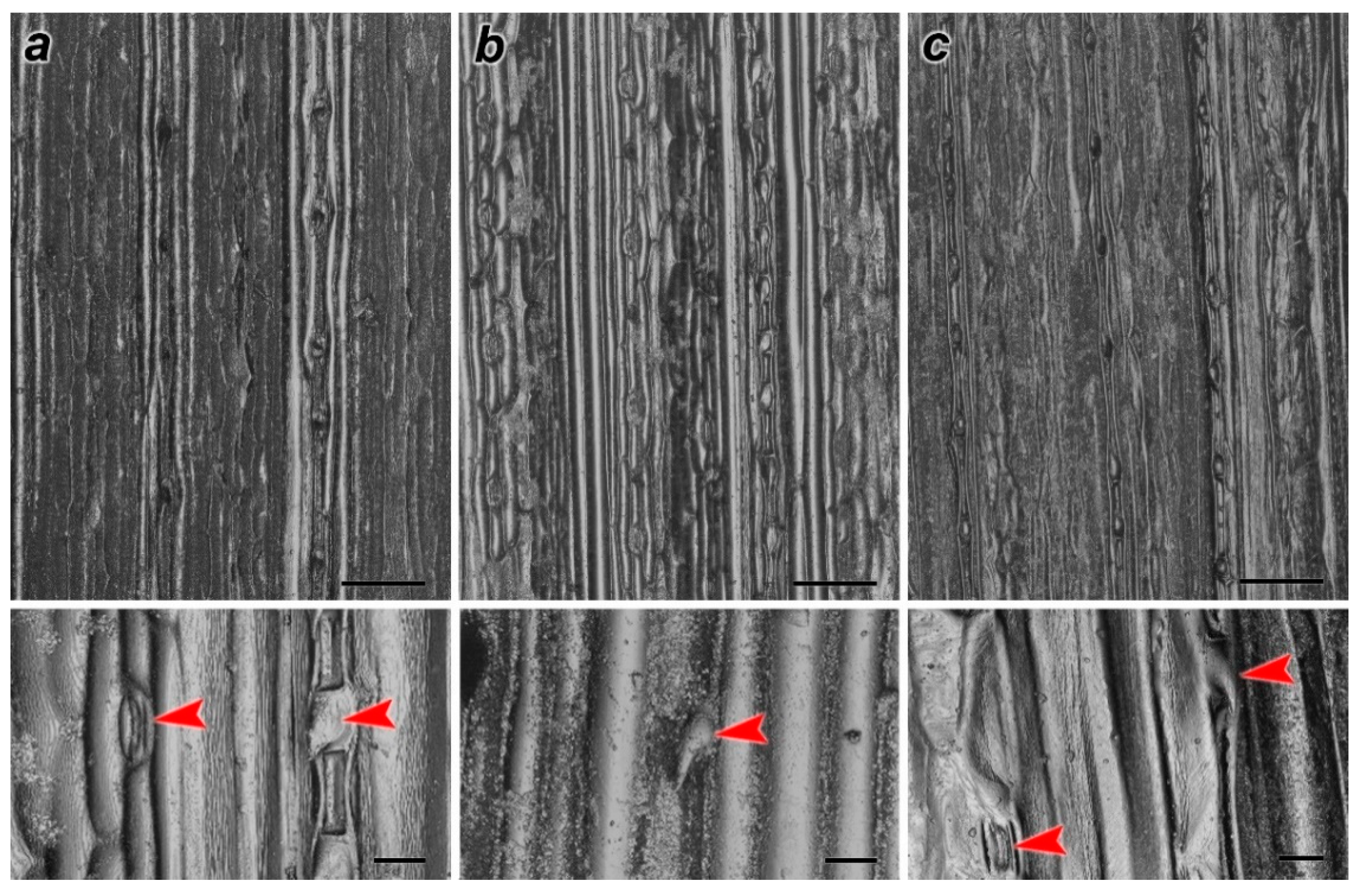 Nanomaterials 11 01722 g007