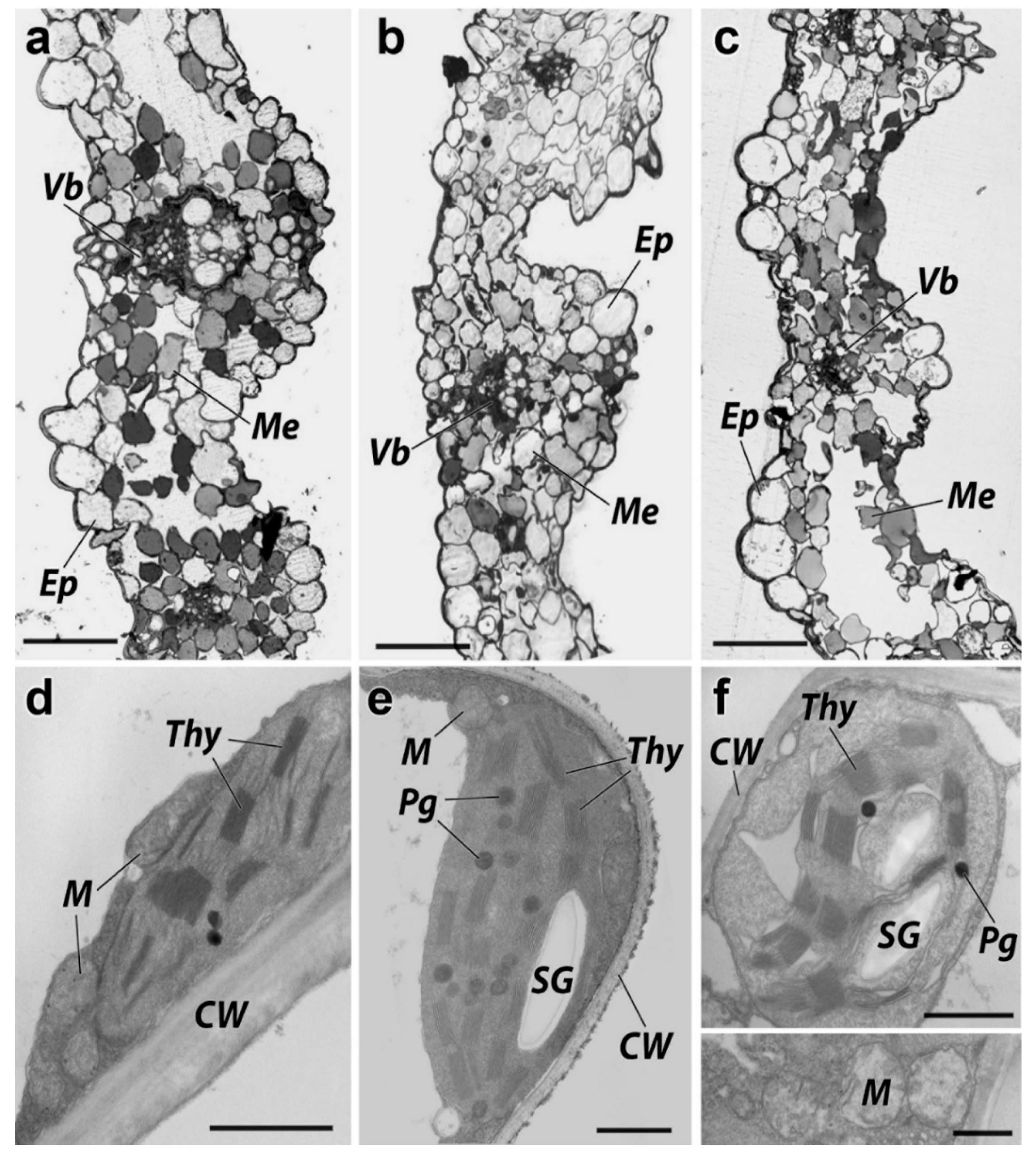 Nanomaterials 11 01722 g008