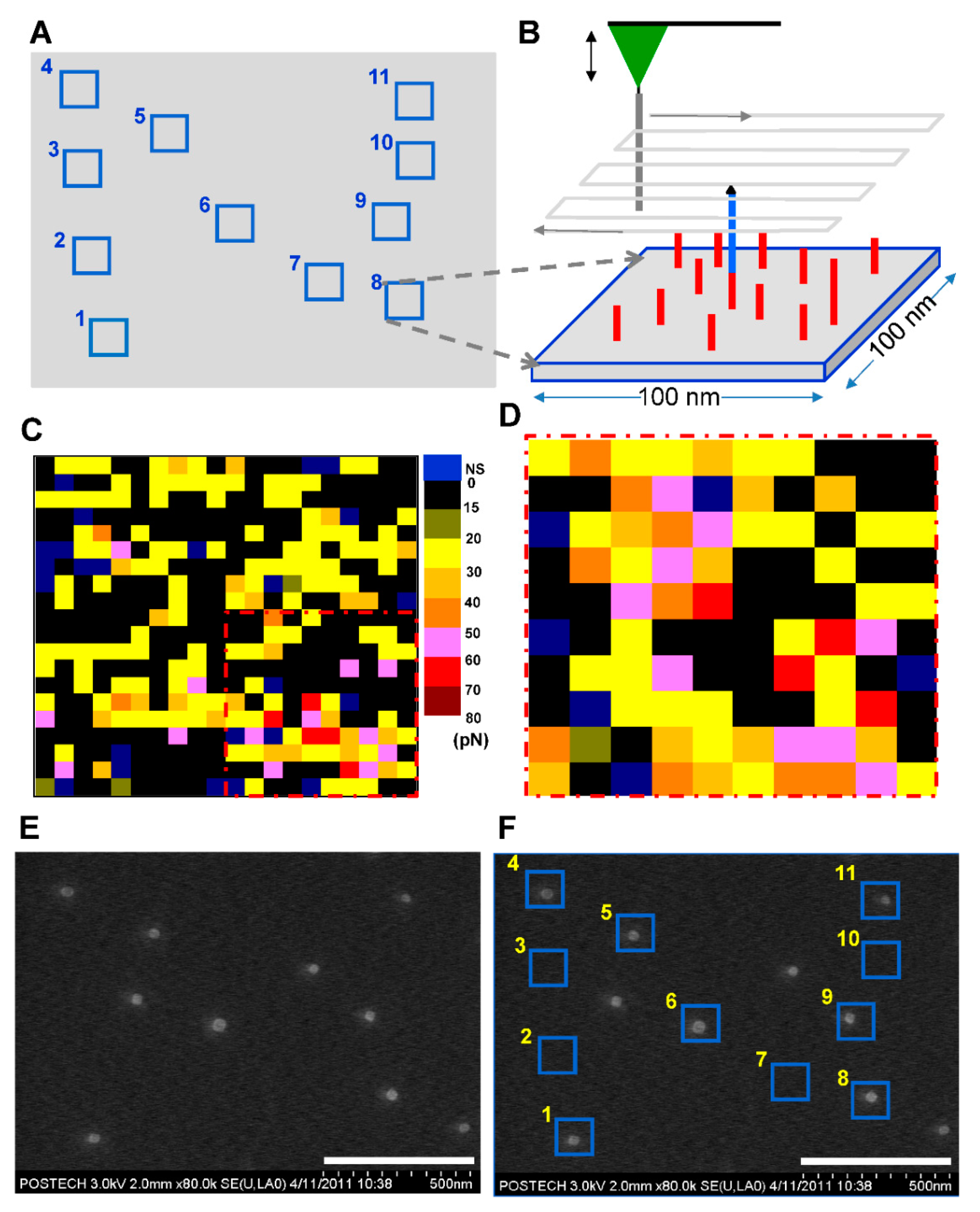 Nanomaterials 11 01725 g002 550