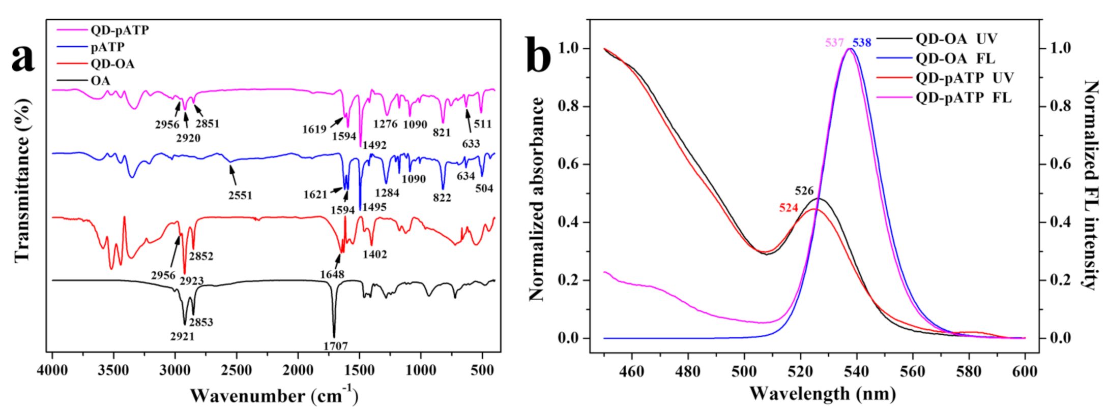 Nanomaterials 11 01726 g004 550