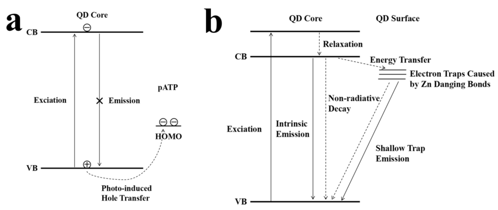 Nanomaterials 11 01726 sch002 550