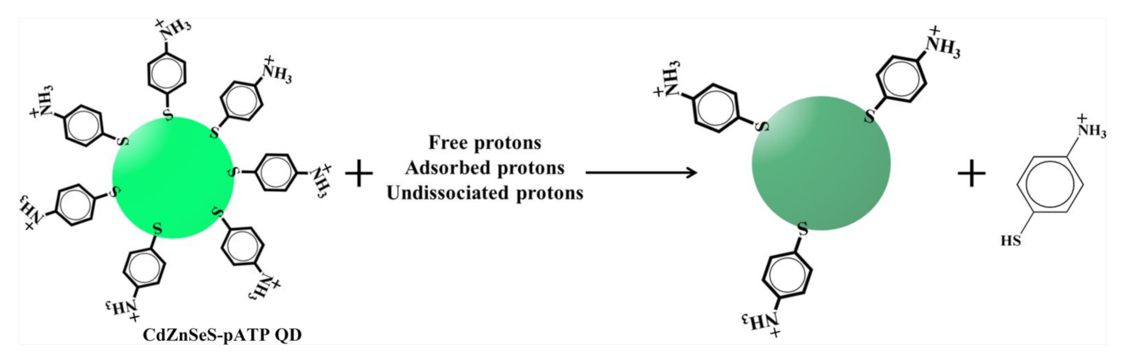 Nanomaterials 11 01726 sch003 550