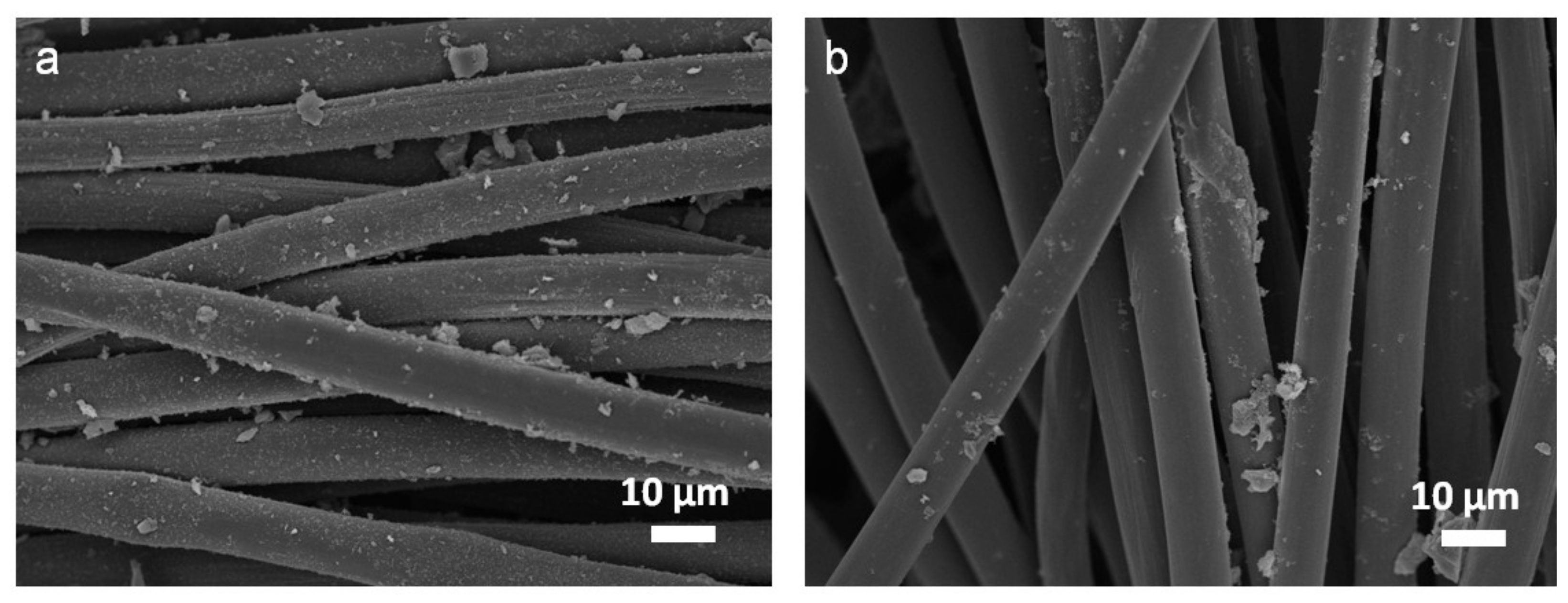 Nanomaterials 11 01731 g001