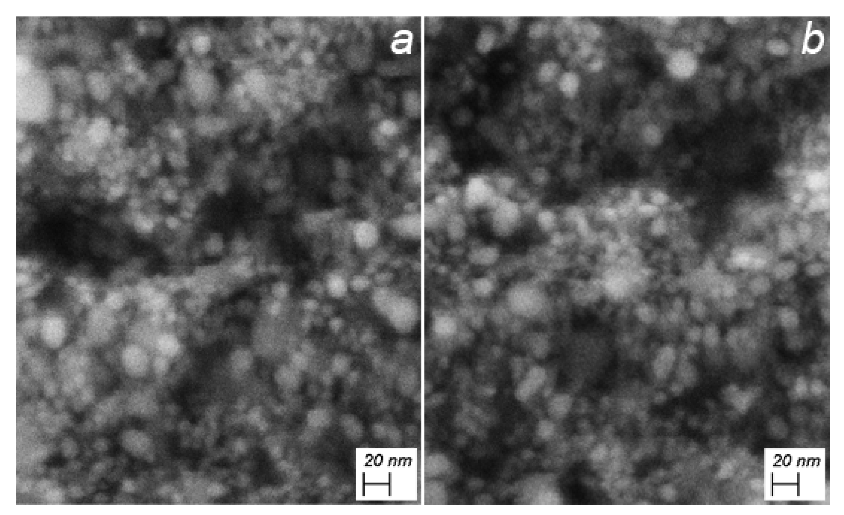 Nanomaterials 11 01733 g002