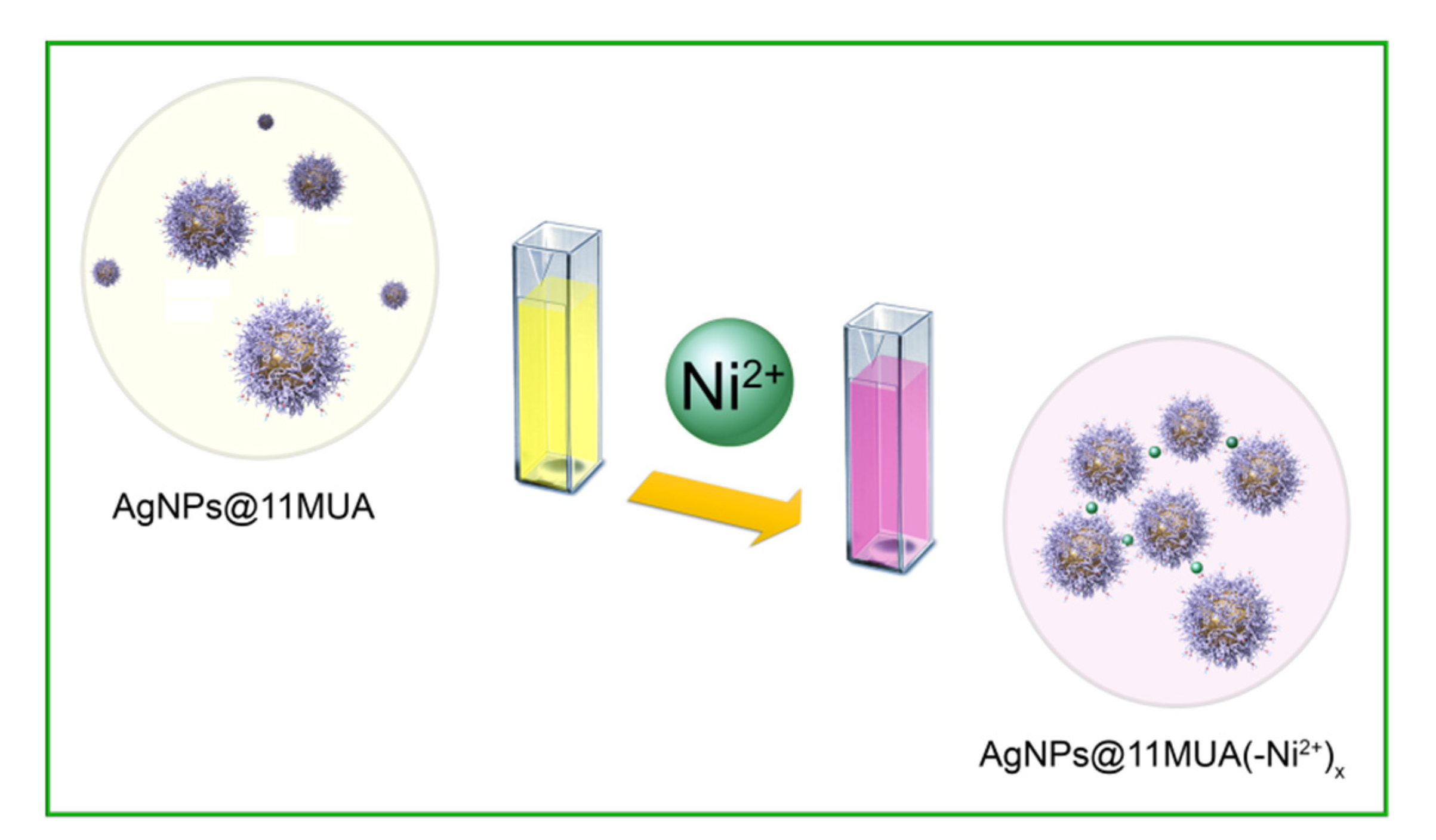 Nanomaterials 11 01733 g012