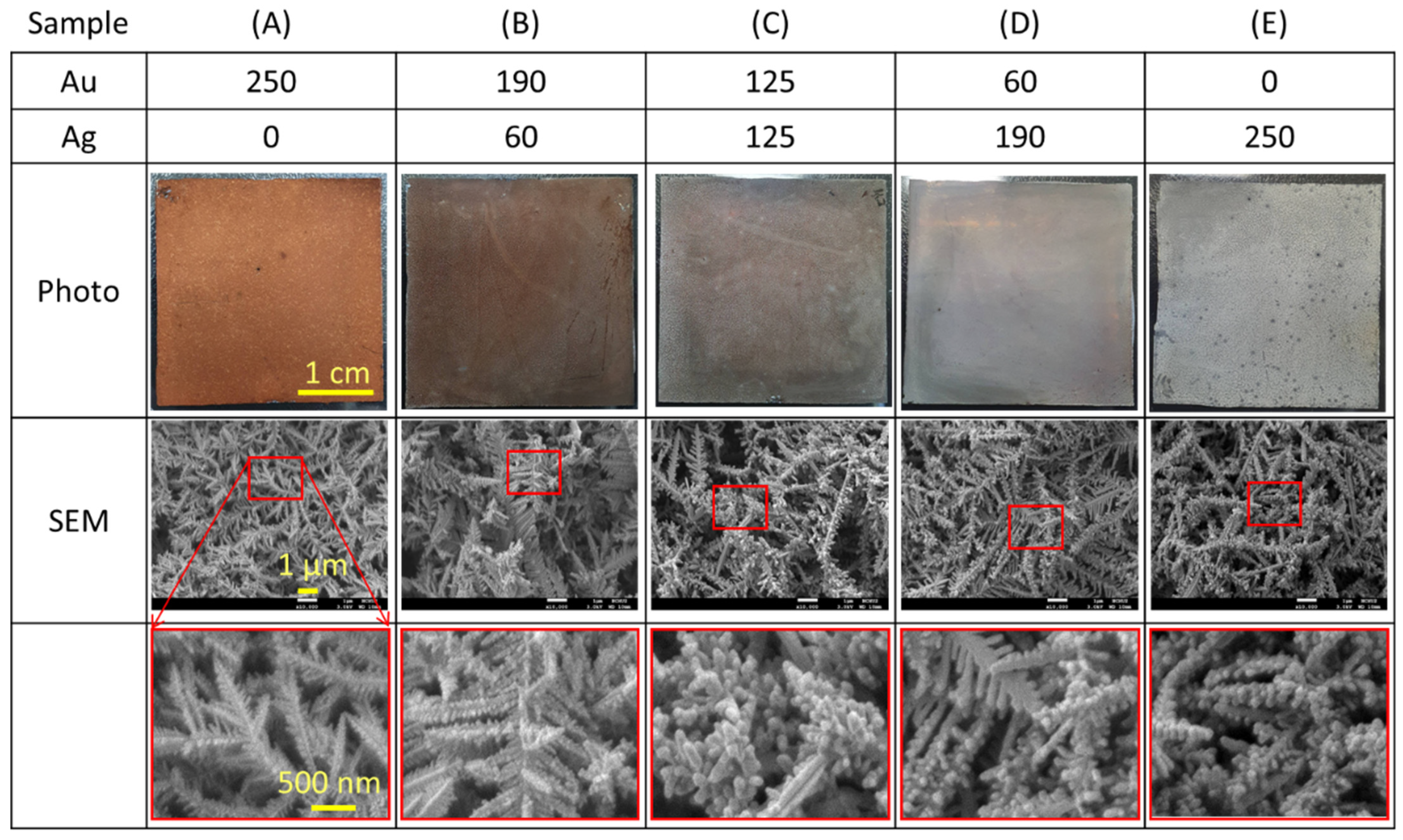 Nanomaterials 11 01736 g003 550
