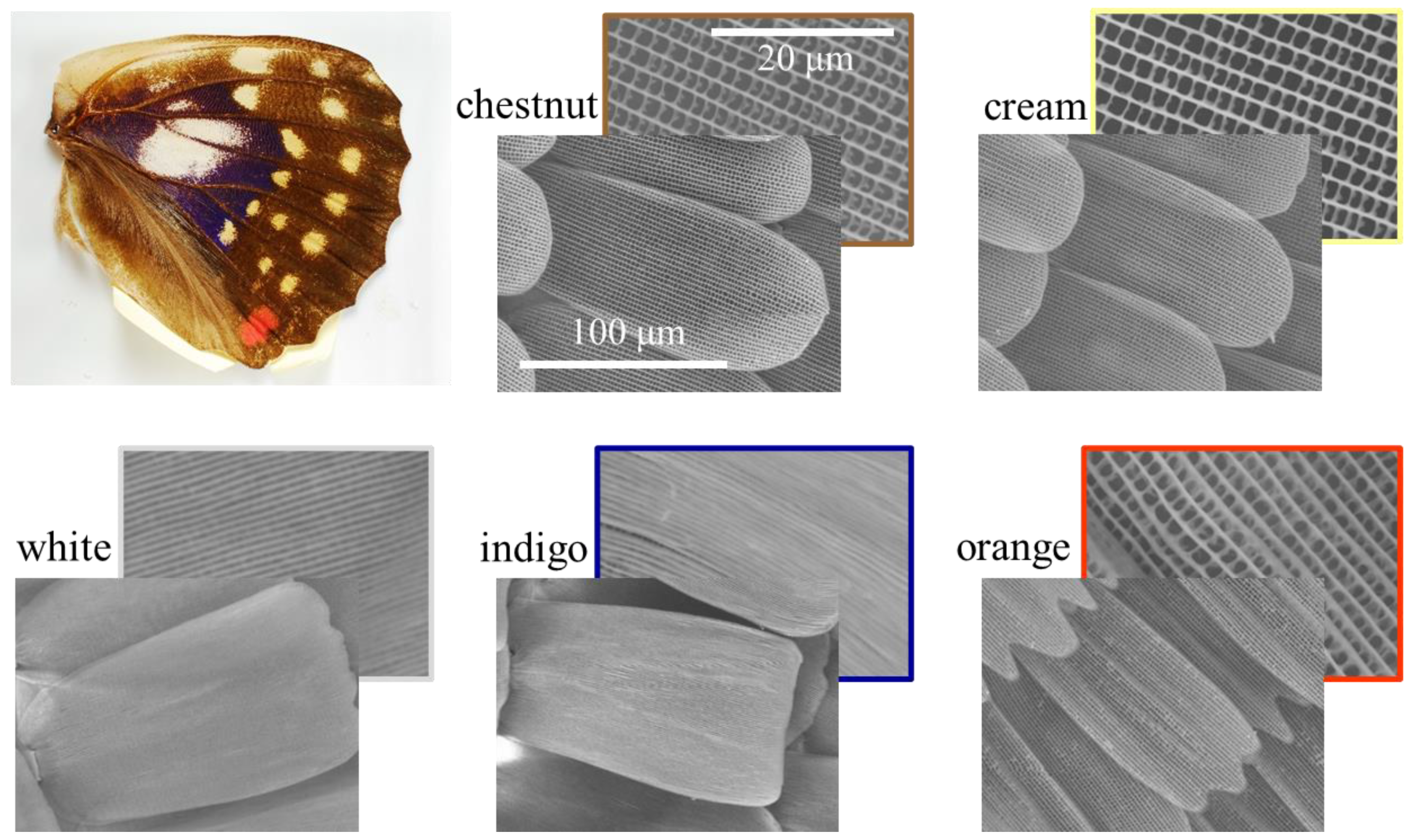 Nanomaterials 11 01741 g002