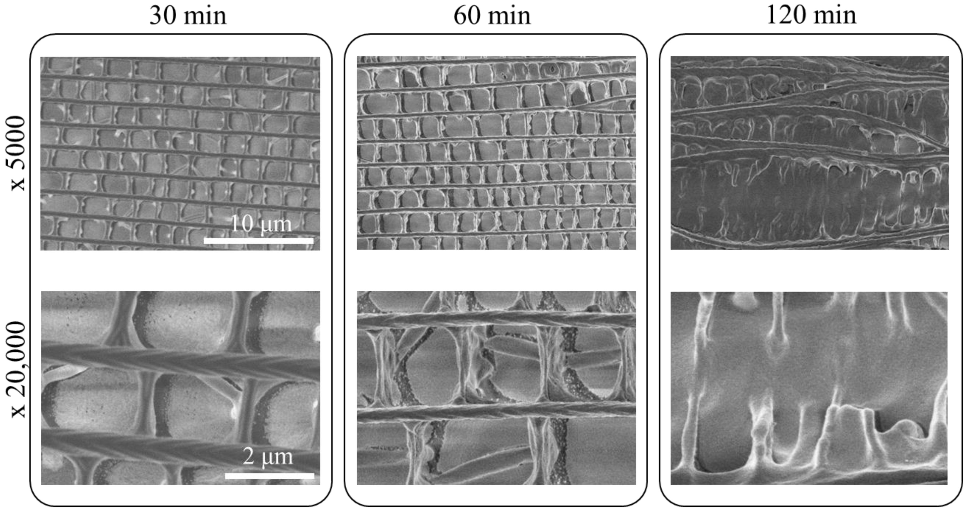 Nanomaterials 11 01741 g006