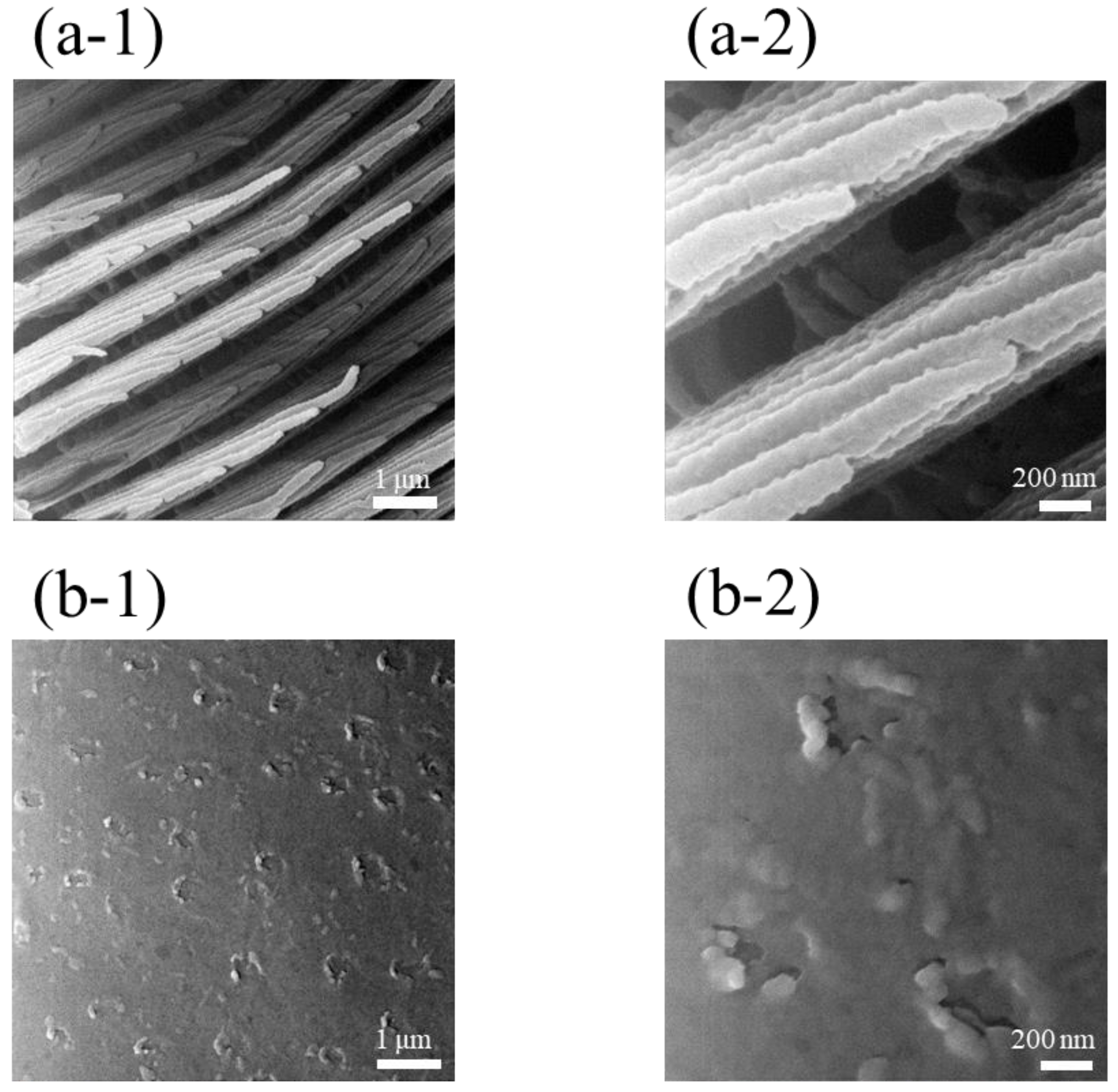 Nanomaterials 11 01741 g0a10