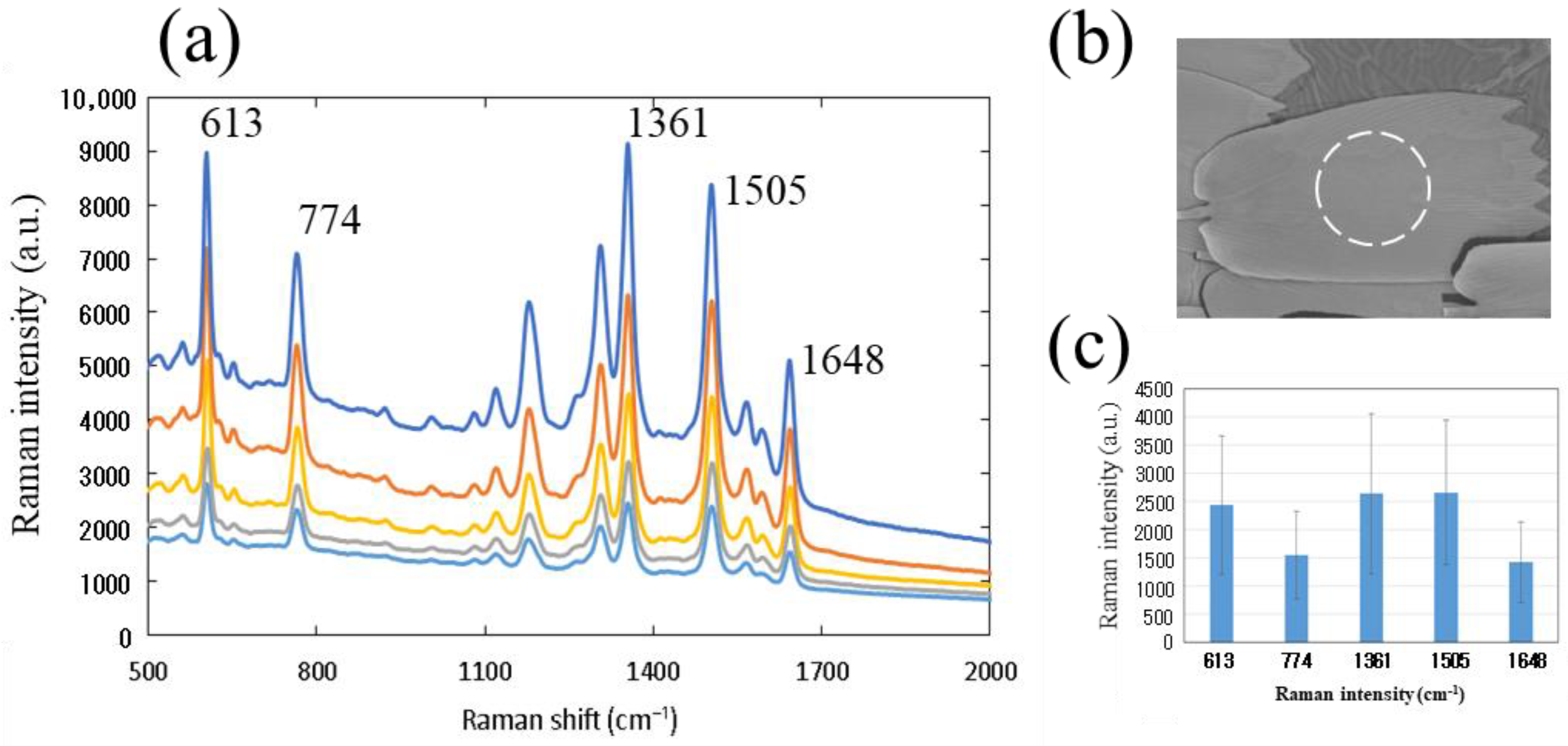 Nanomaterials 11 01741 g0a4