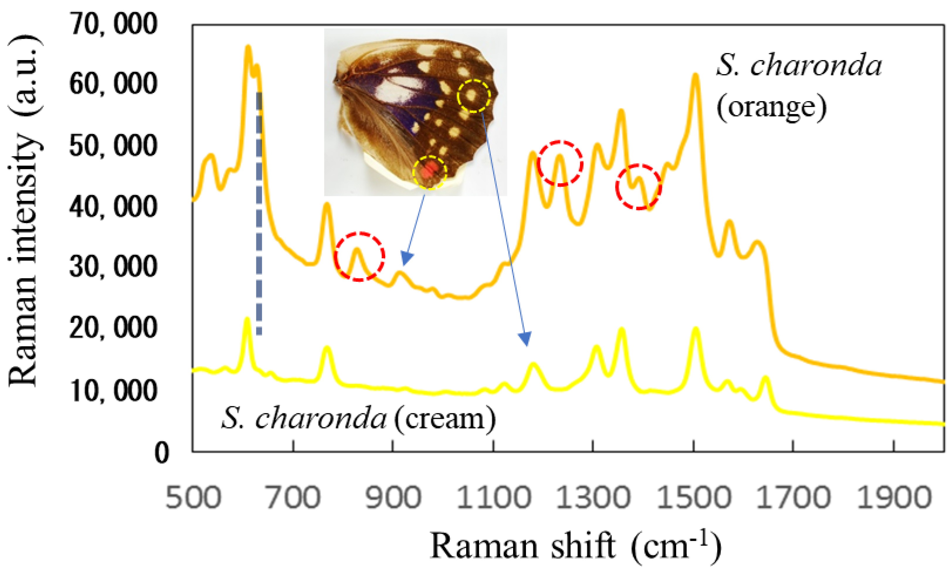 Nanomaterials 11 01741 g0a9