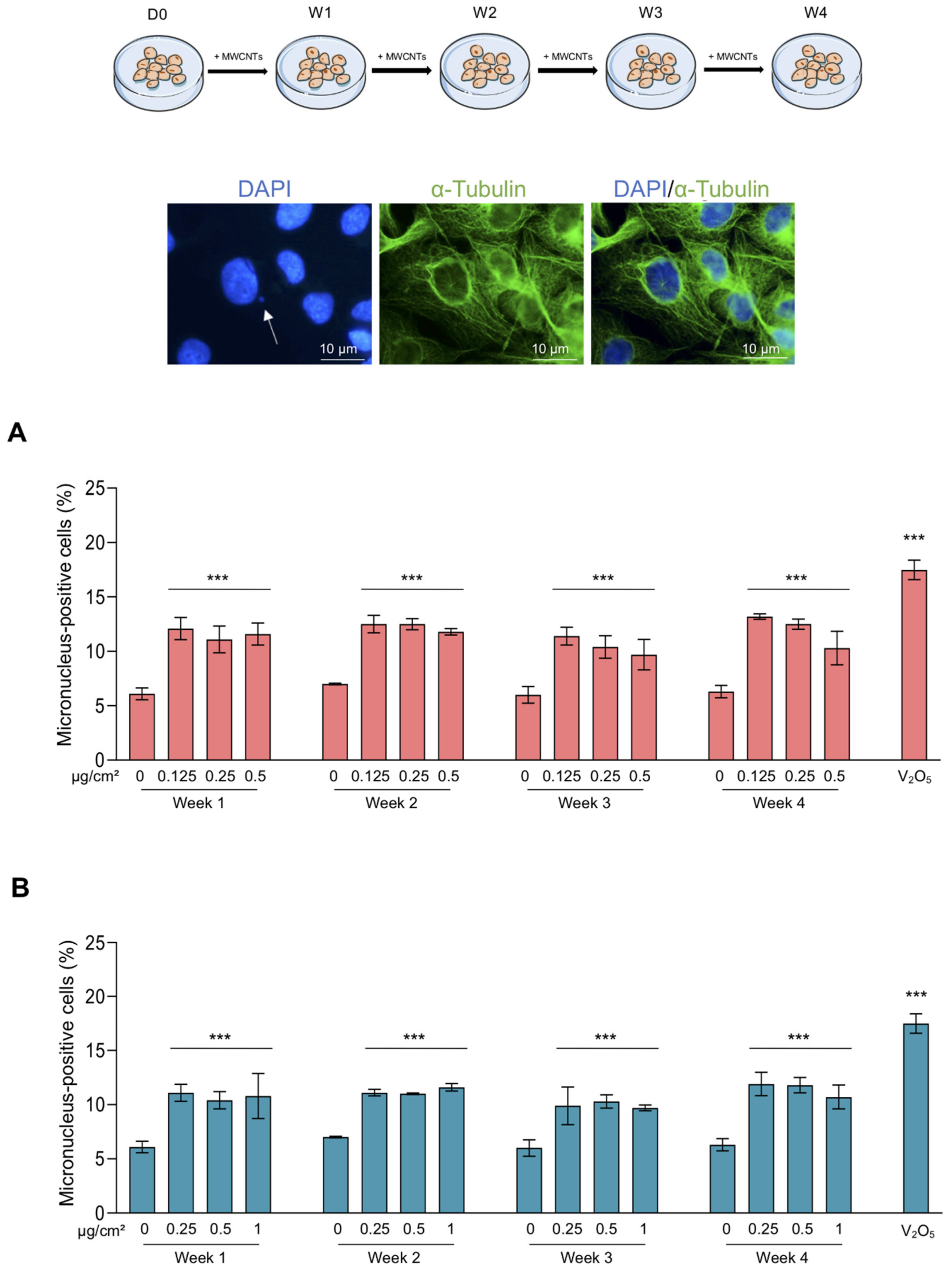 Nanomaterials 11 01742 g004