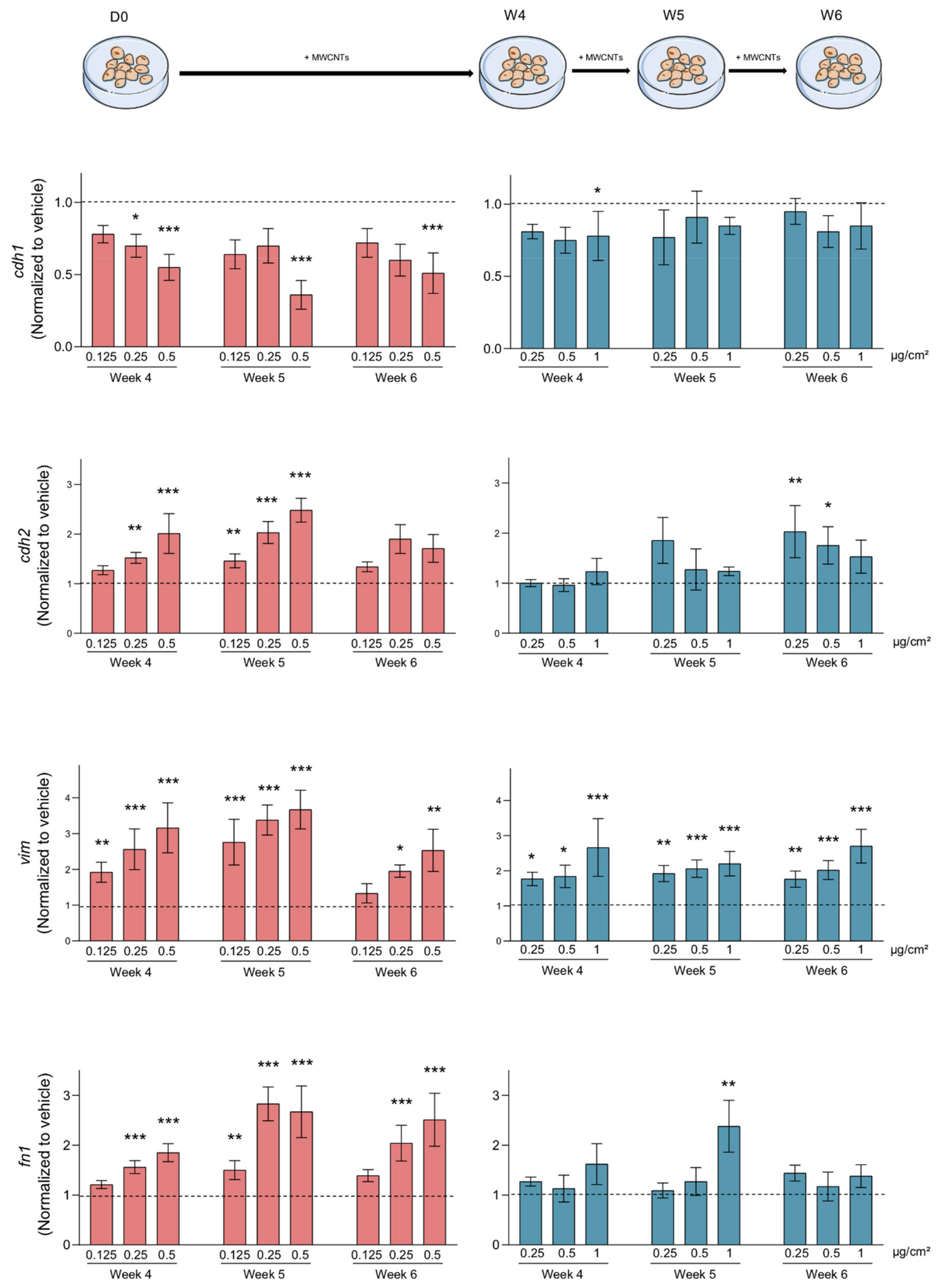 Nanomaterials 11 01742 g007