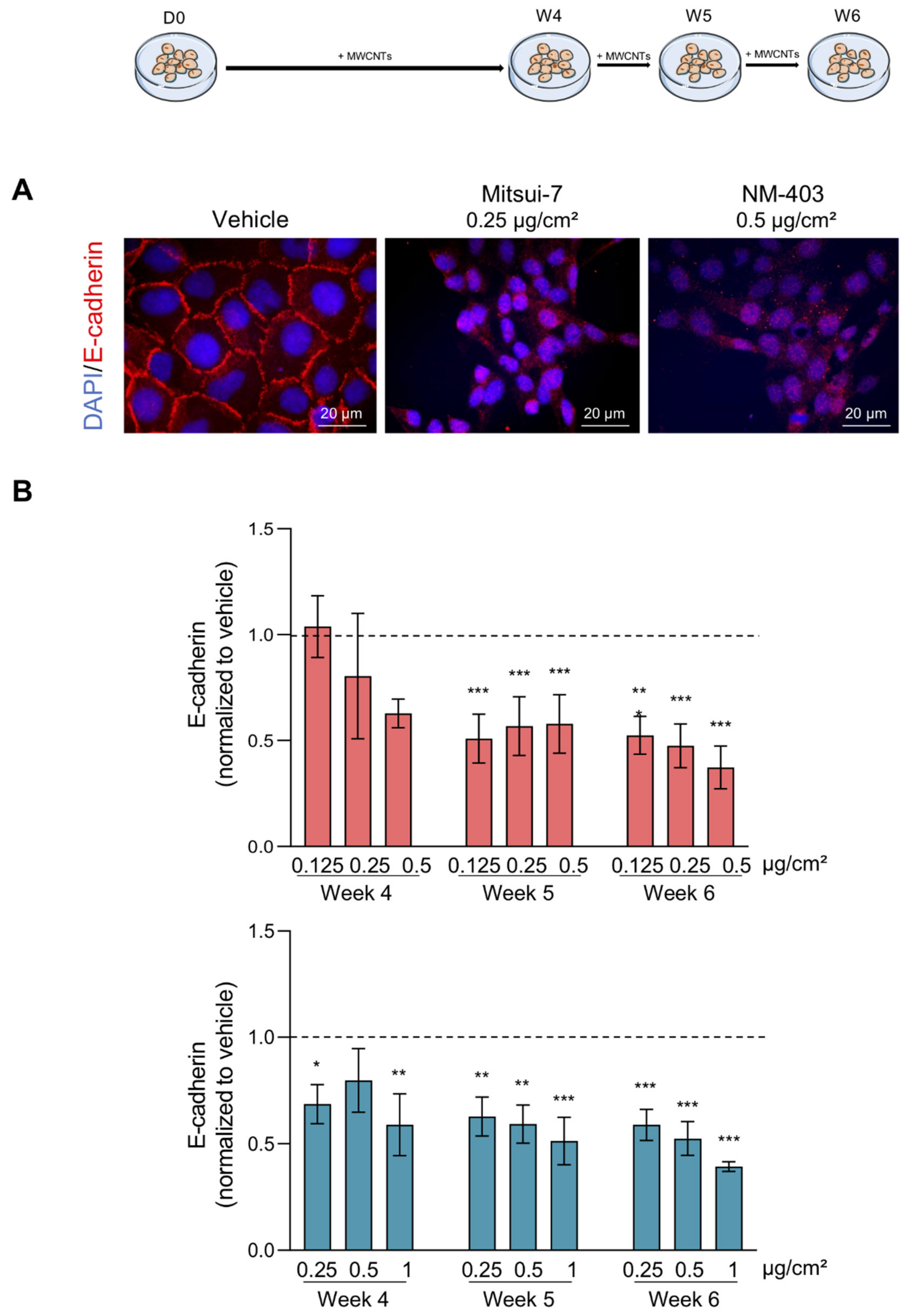 Nanomaterials 11 01742 g008