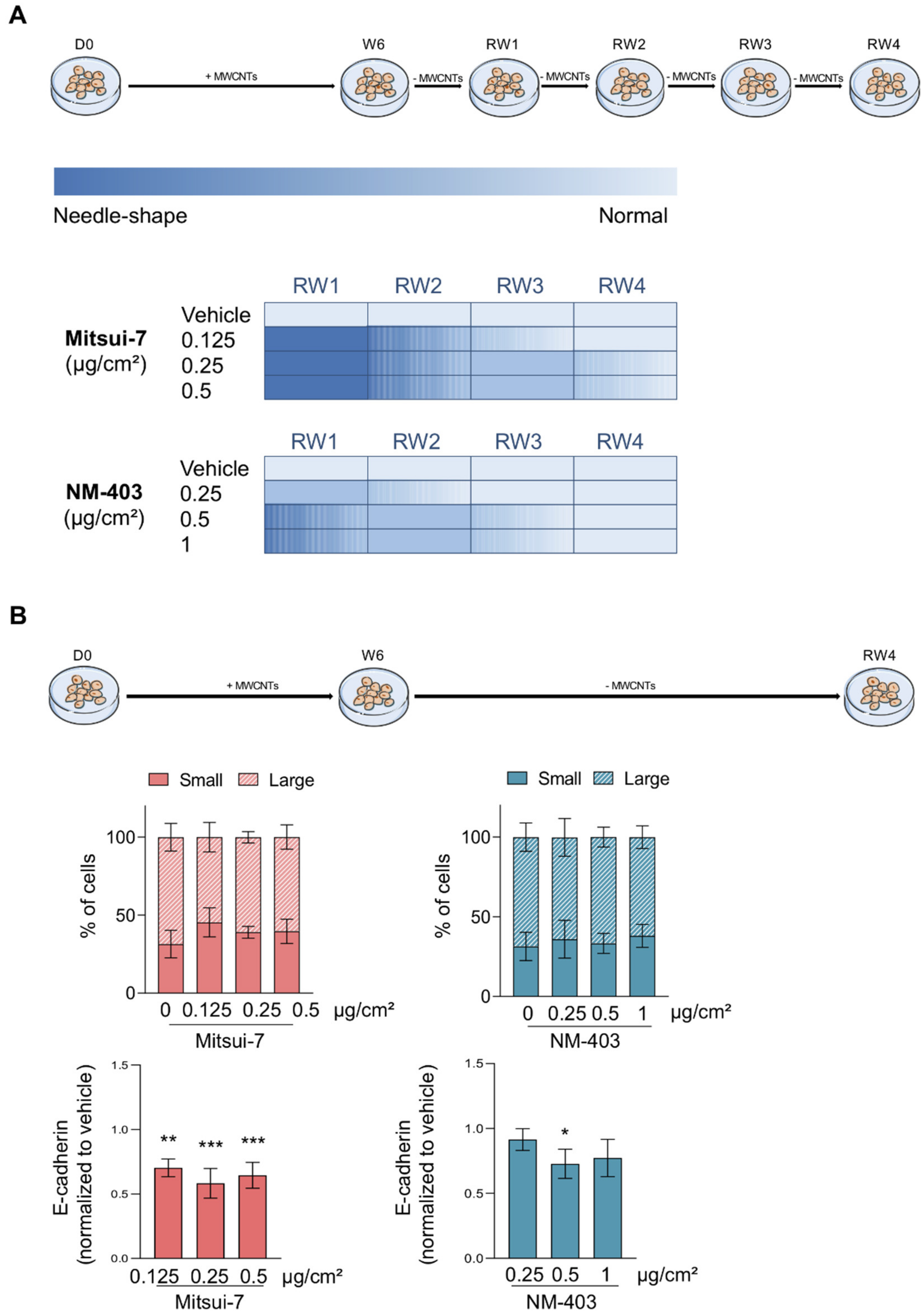 Nanomaterials 11 01742 g009