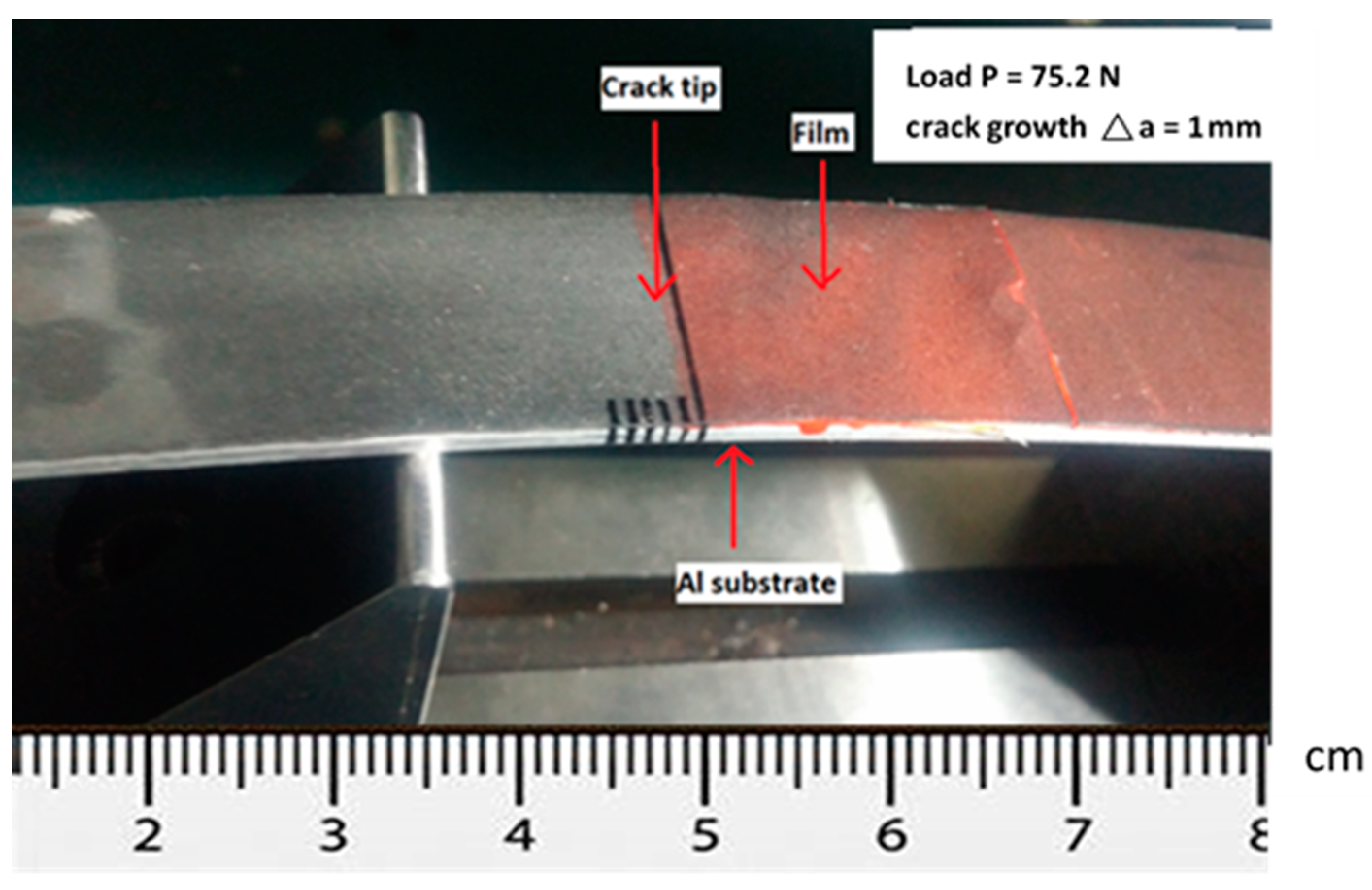 Nanomaterials 11 01743 g012 550