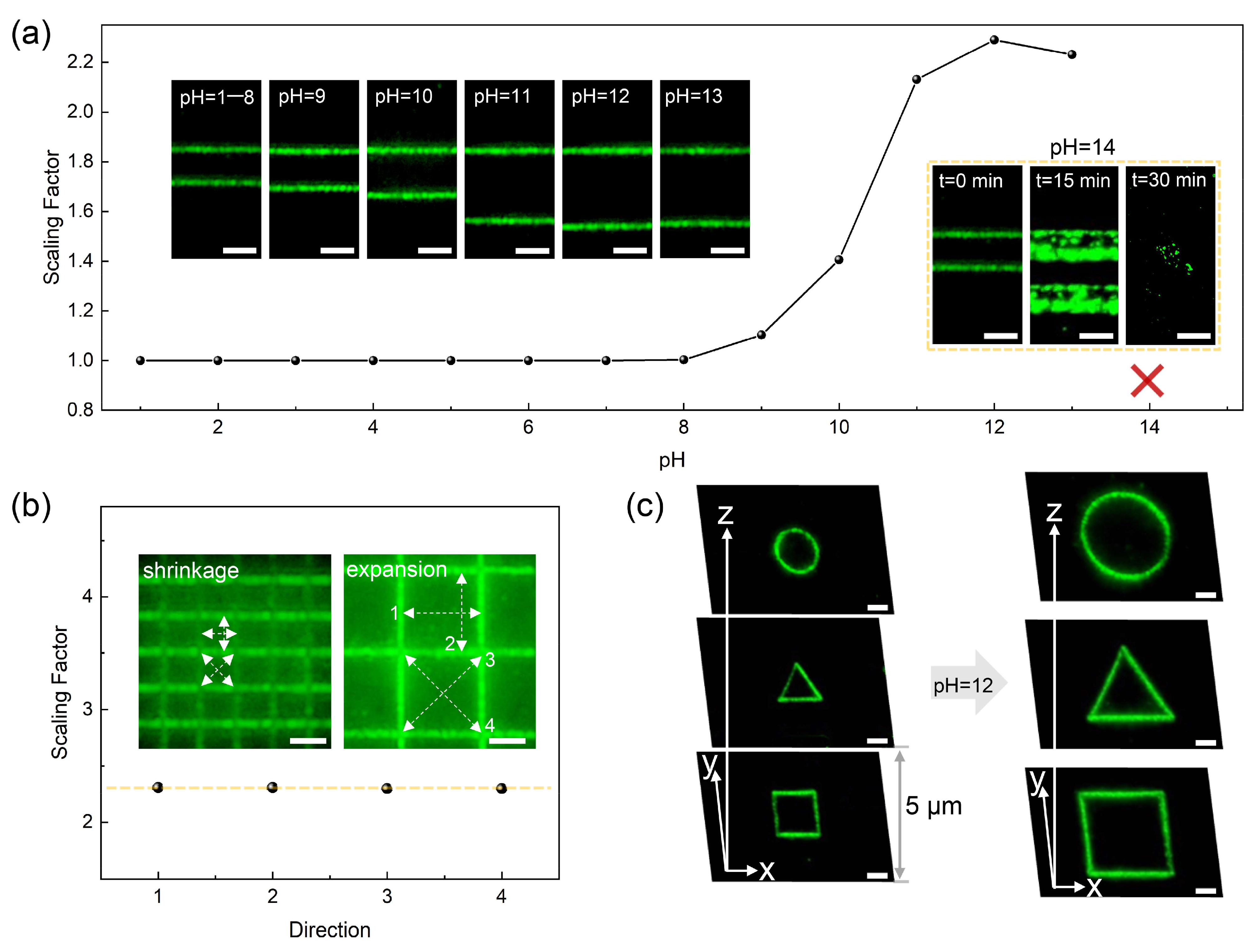 Nanomaterials 11 01744 g002 550
