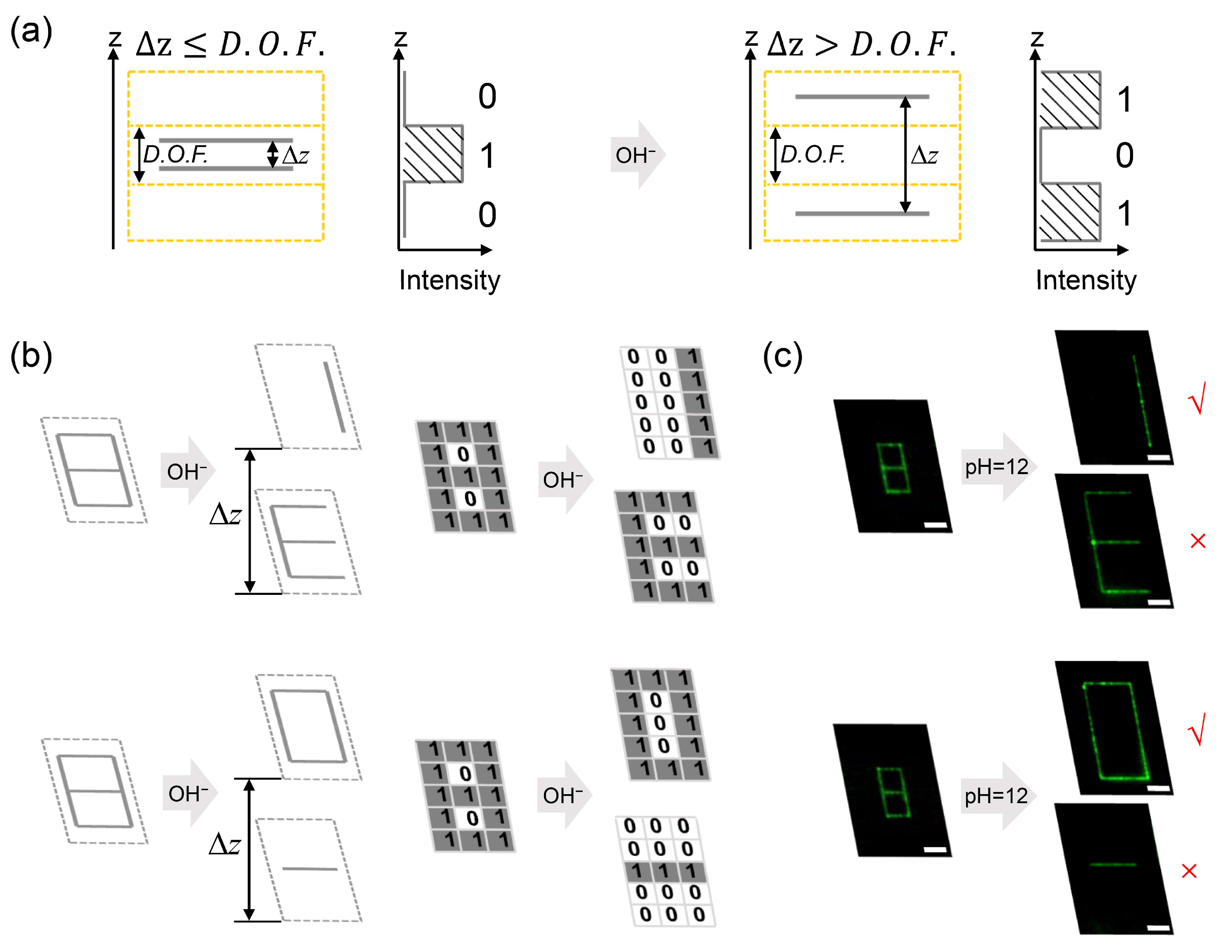 Nanomaterials 11 01744 g003 550