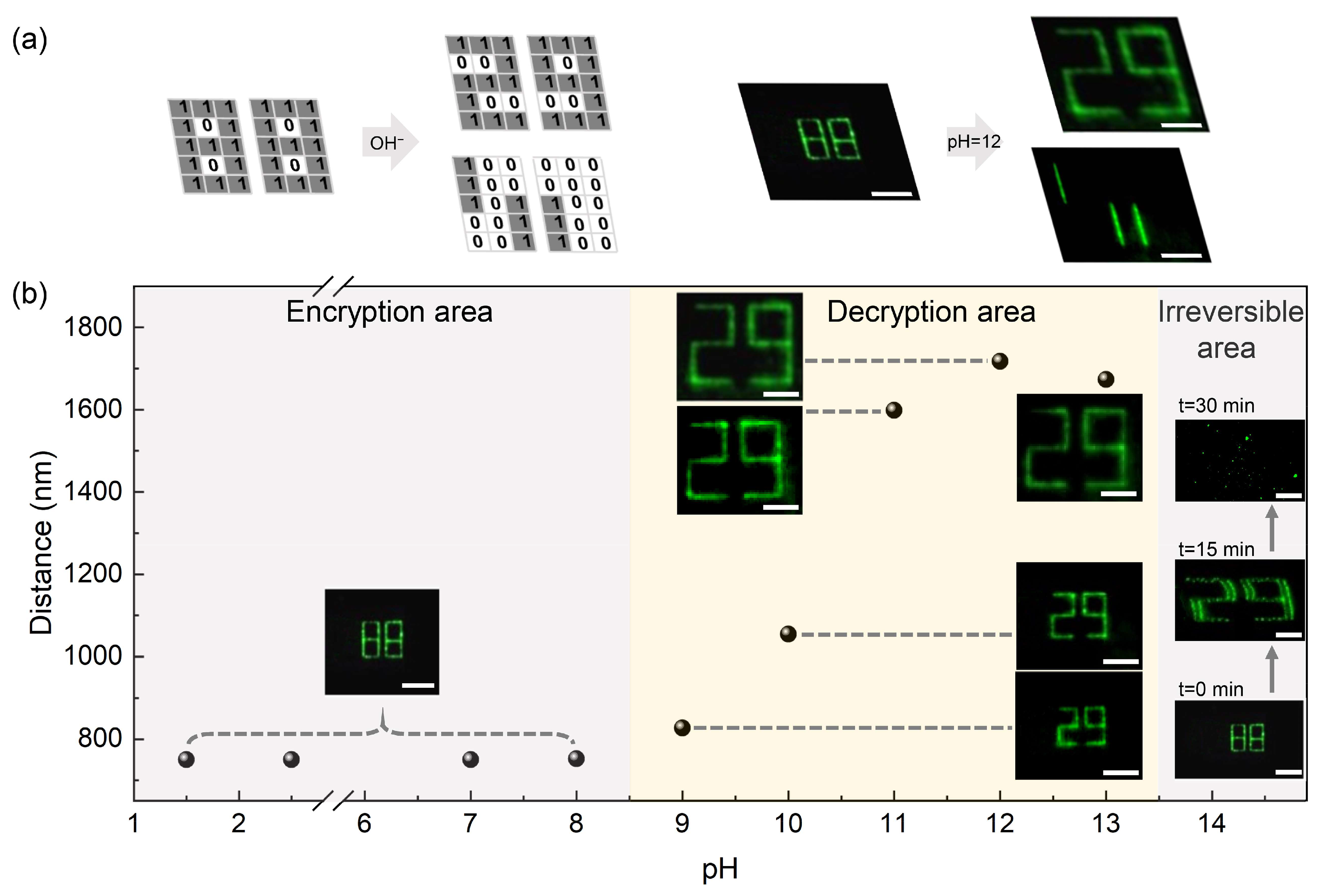 Nanomaterials 11 01744 g004 550