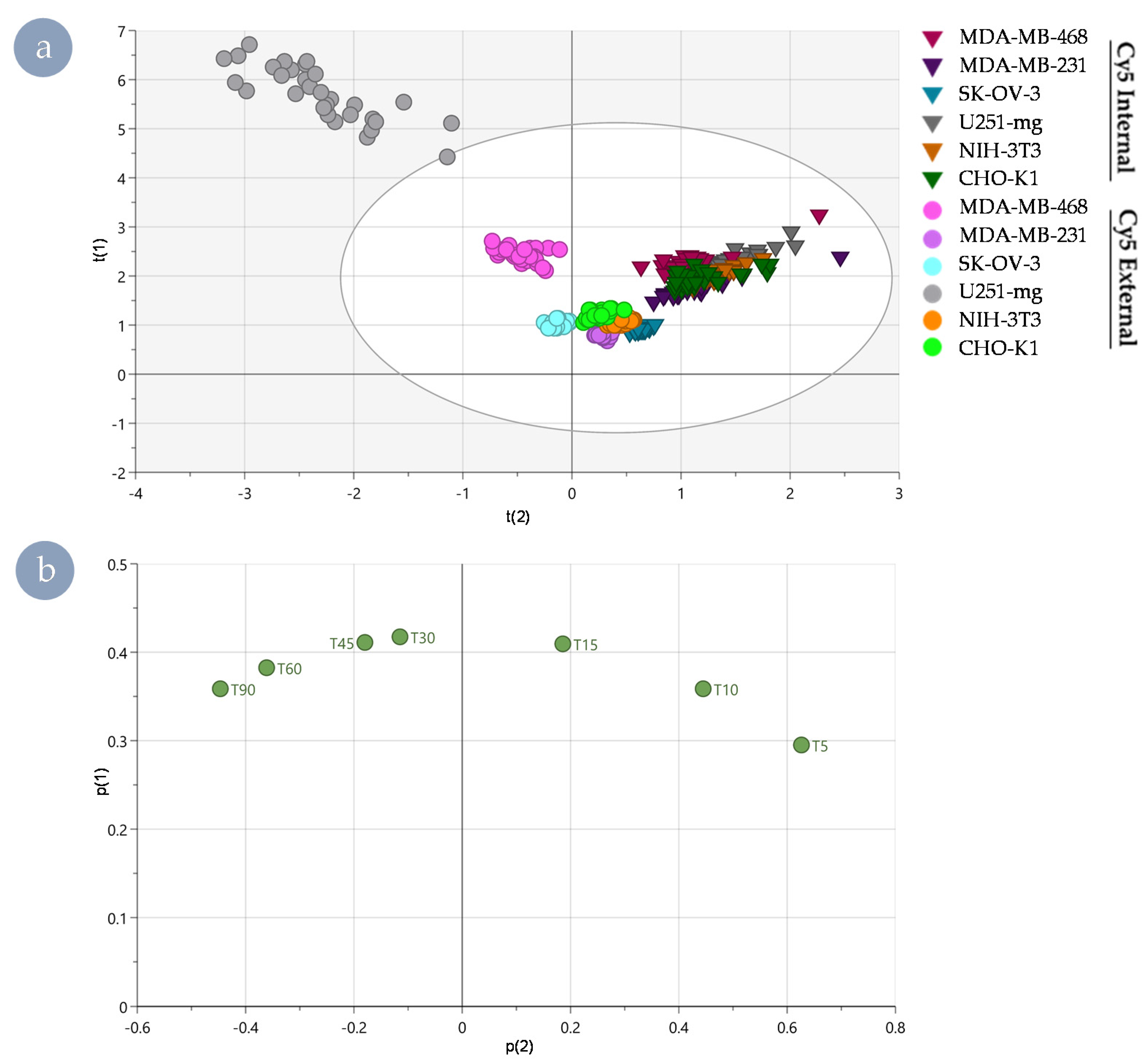 Nanomaterials 11 01745 g004