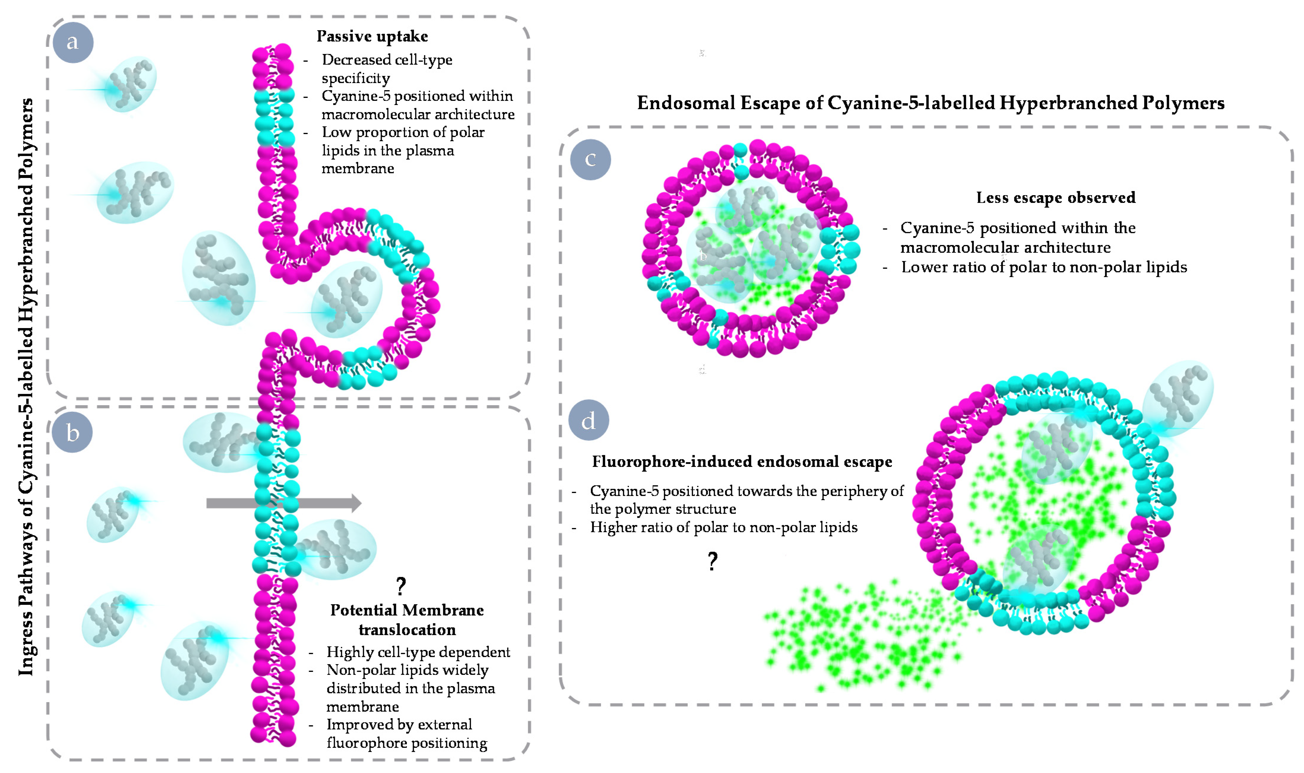 Nanomaterials 11 01745 g009