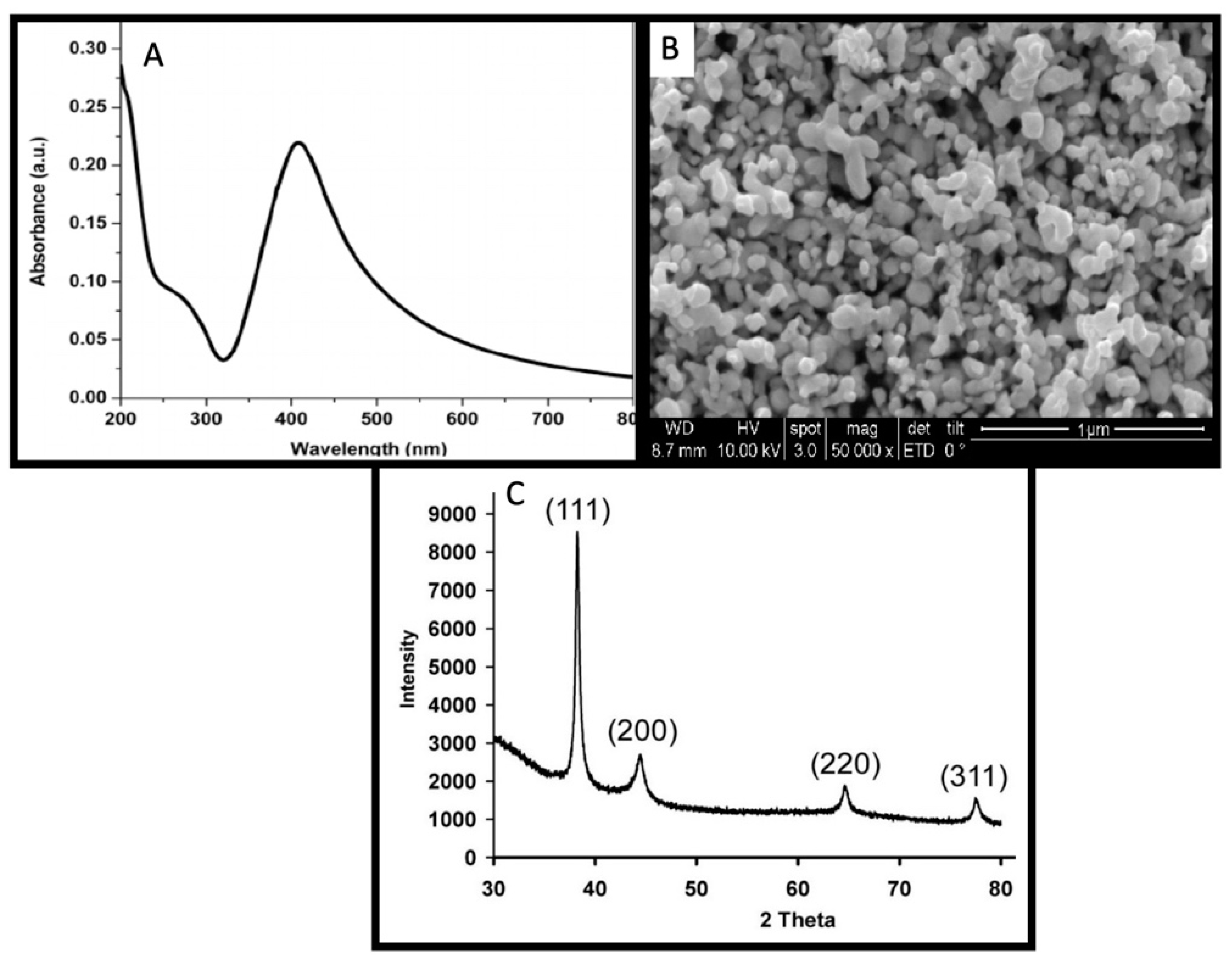 Nanomaterials 11 01750 g001 550