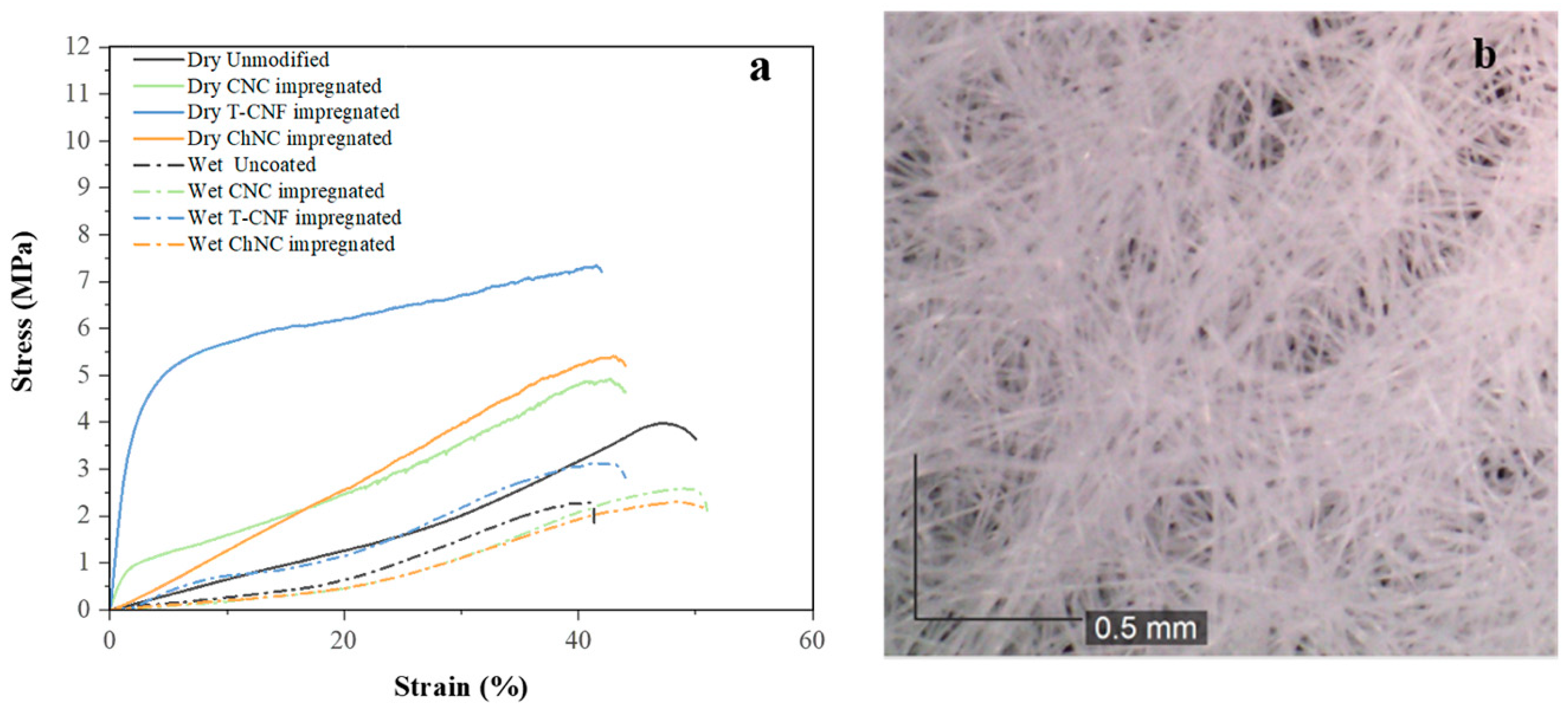 Nanomaterials 11 01752 g003