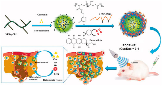 Nanoparticles for Targeted Drug Delivery to Cancer Stem Cells: A Review ...