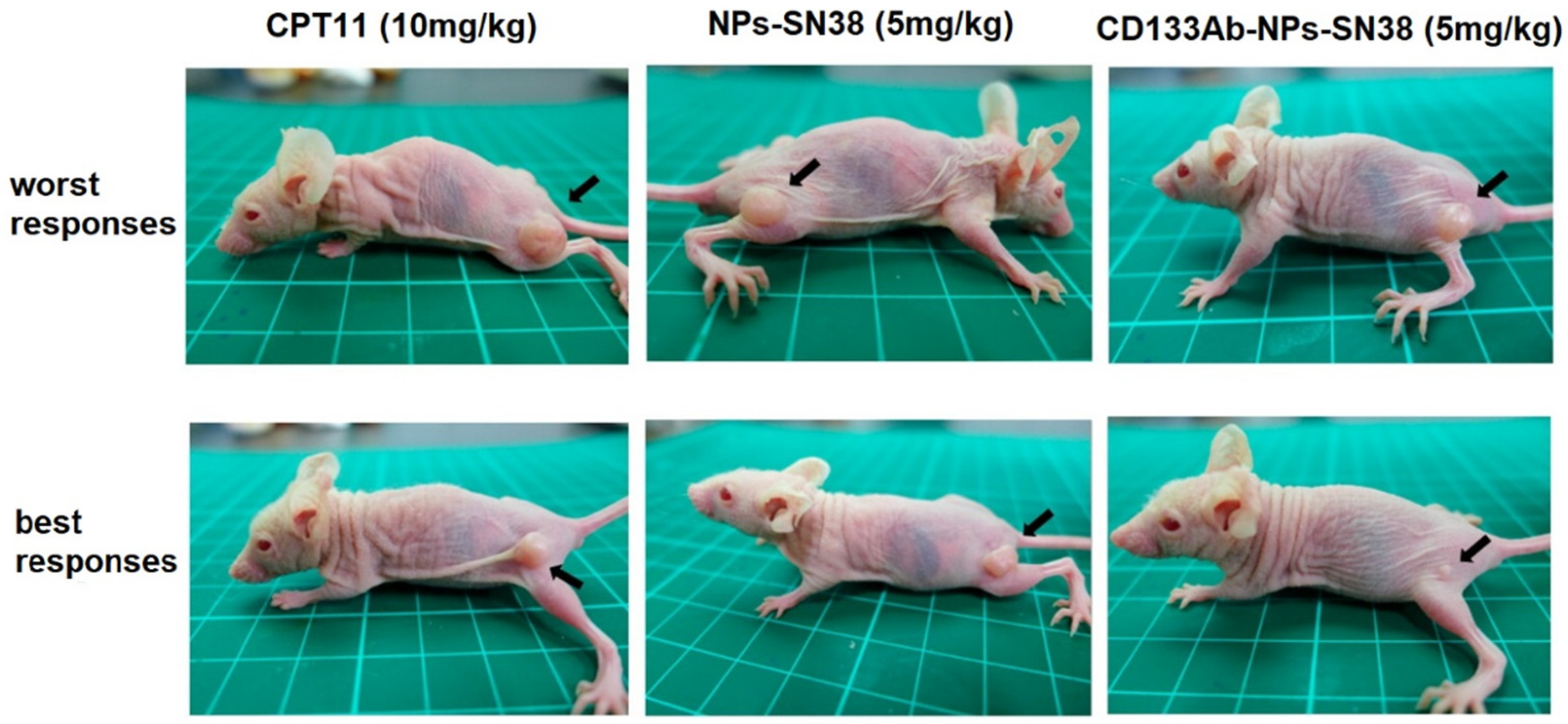 Nanomaterials 11 01755 g004