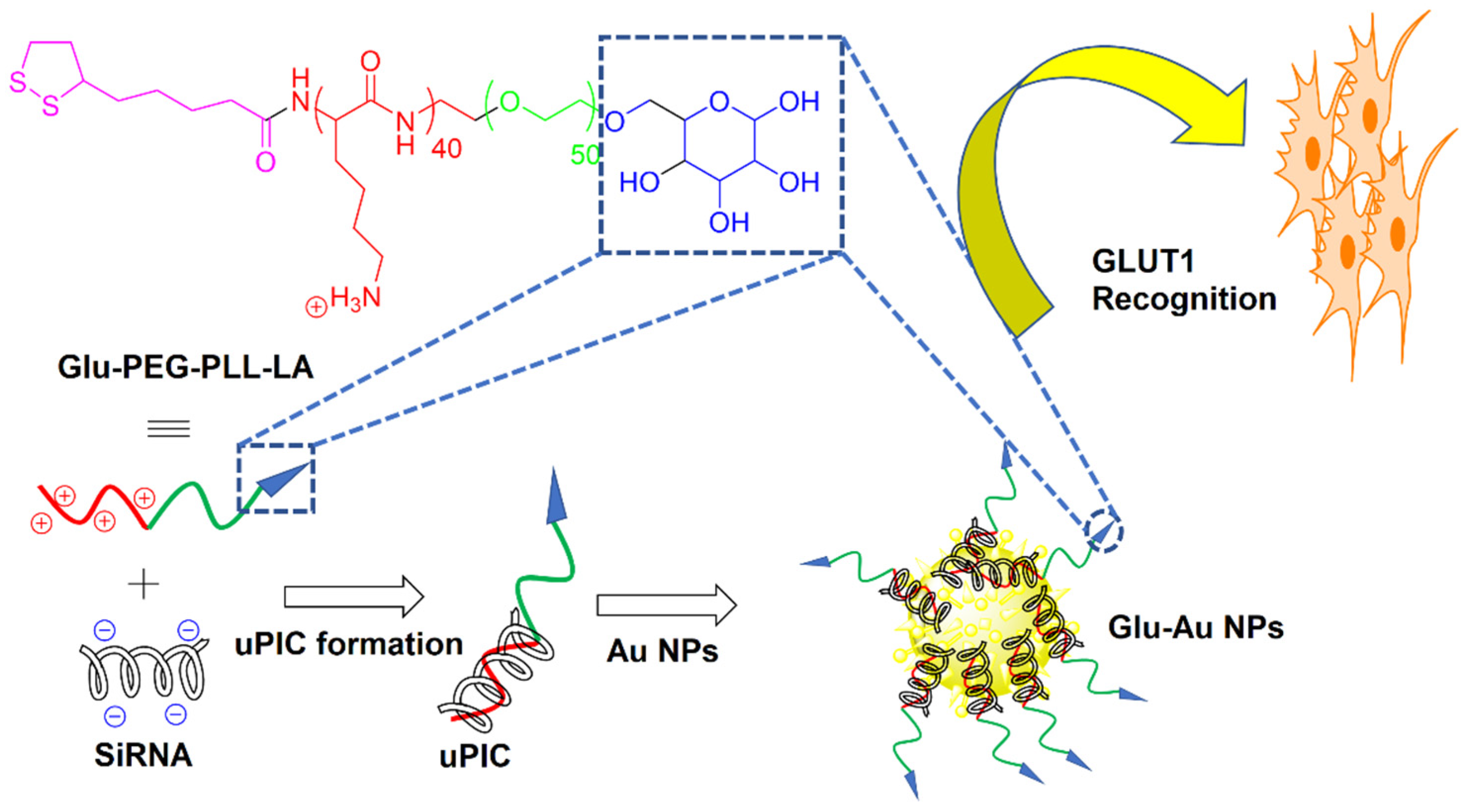 Nanomaterials 11 01755 g005