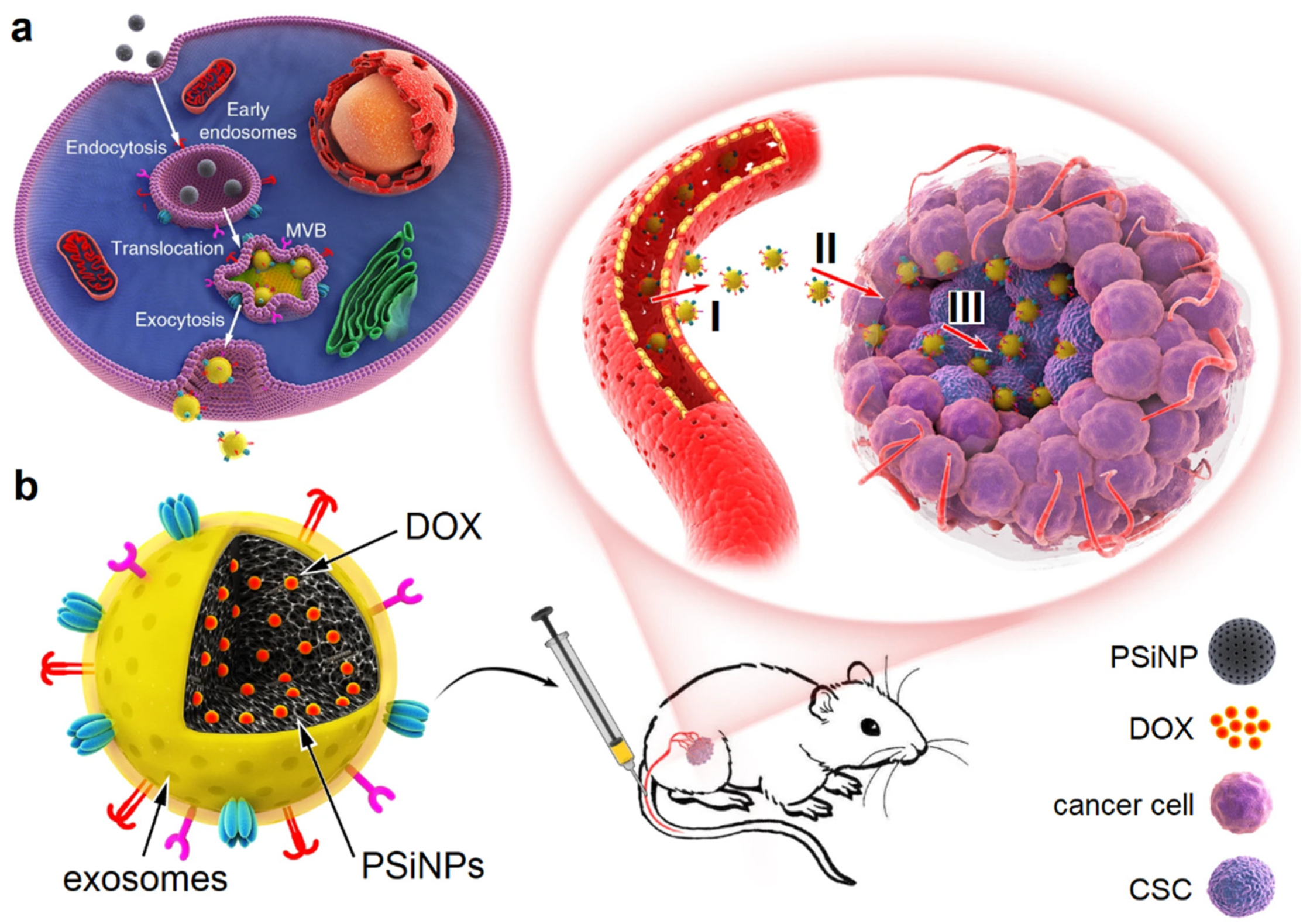 Nanomaterials 11 01755 g009