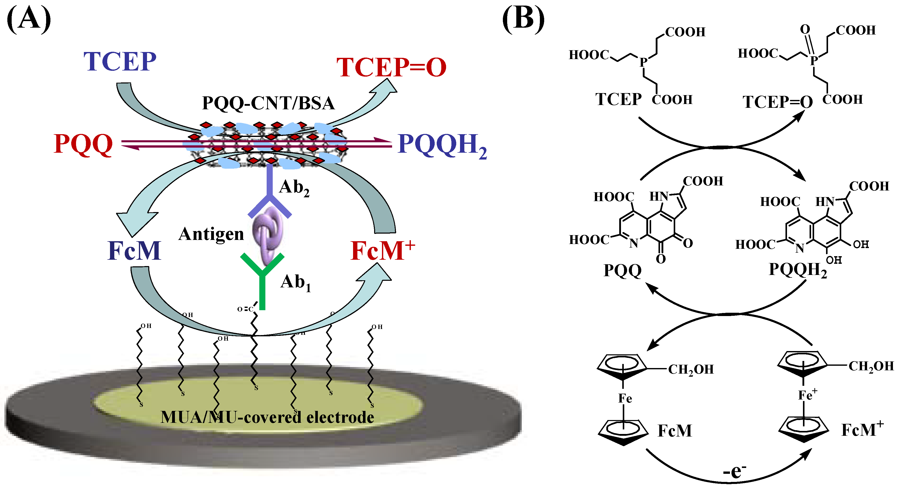 Nanomaterials 11 01757 sch001 Nanomaterials 11 01757 sch001