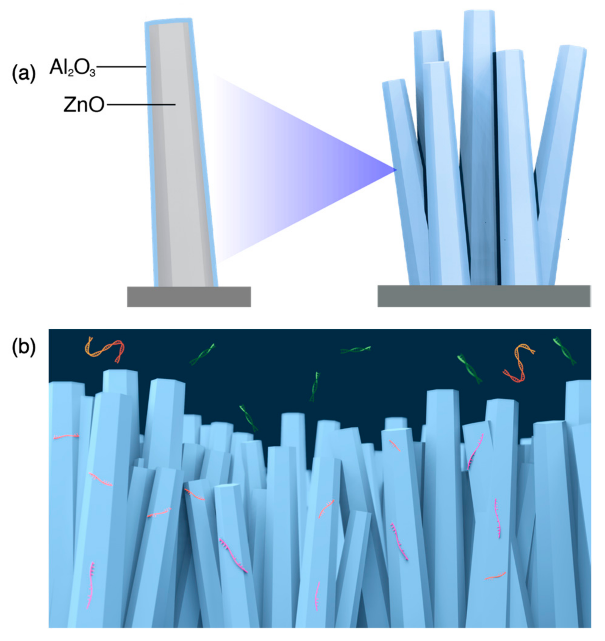 Nanomaterials 11 01768 g001 550