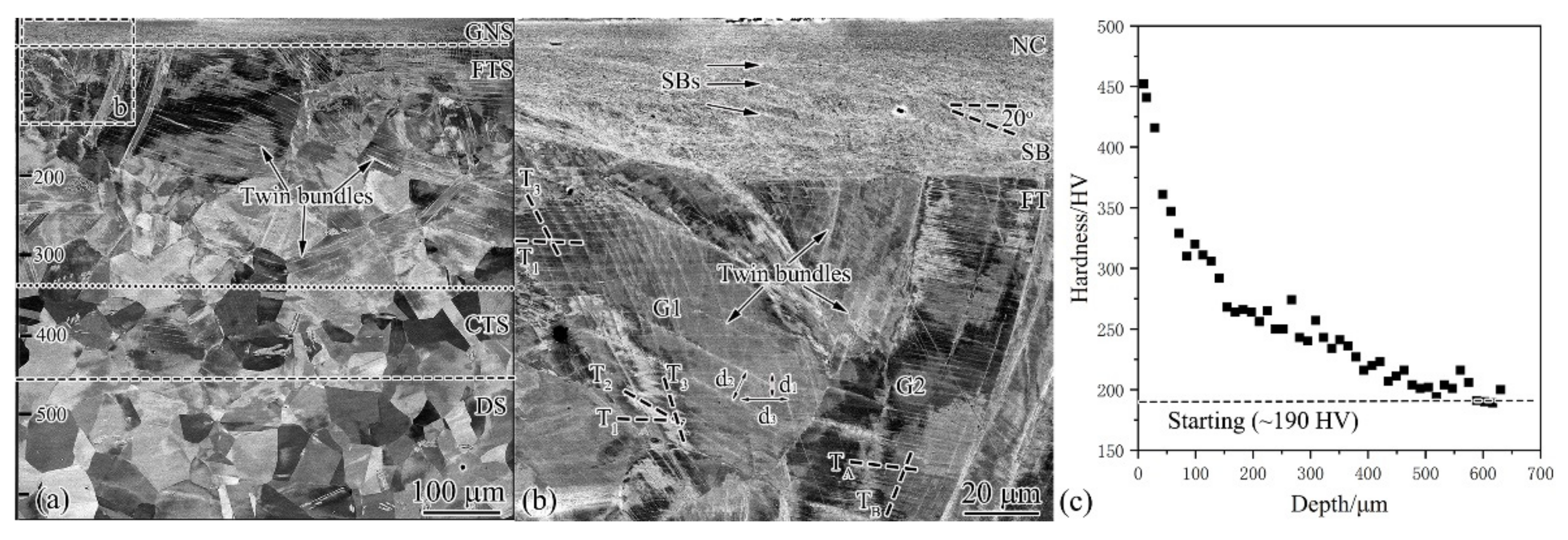 Nanomaterials 11 01769 g003 550