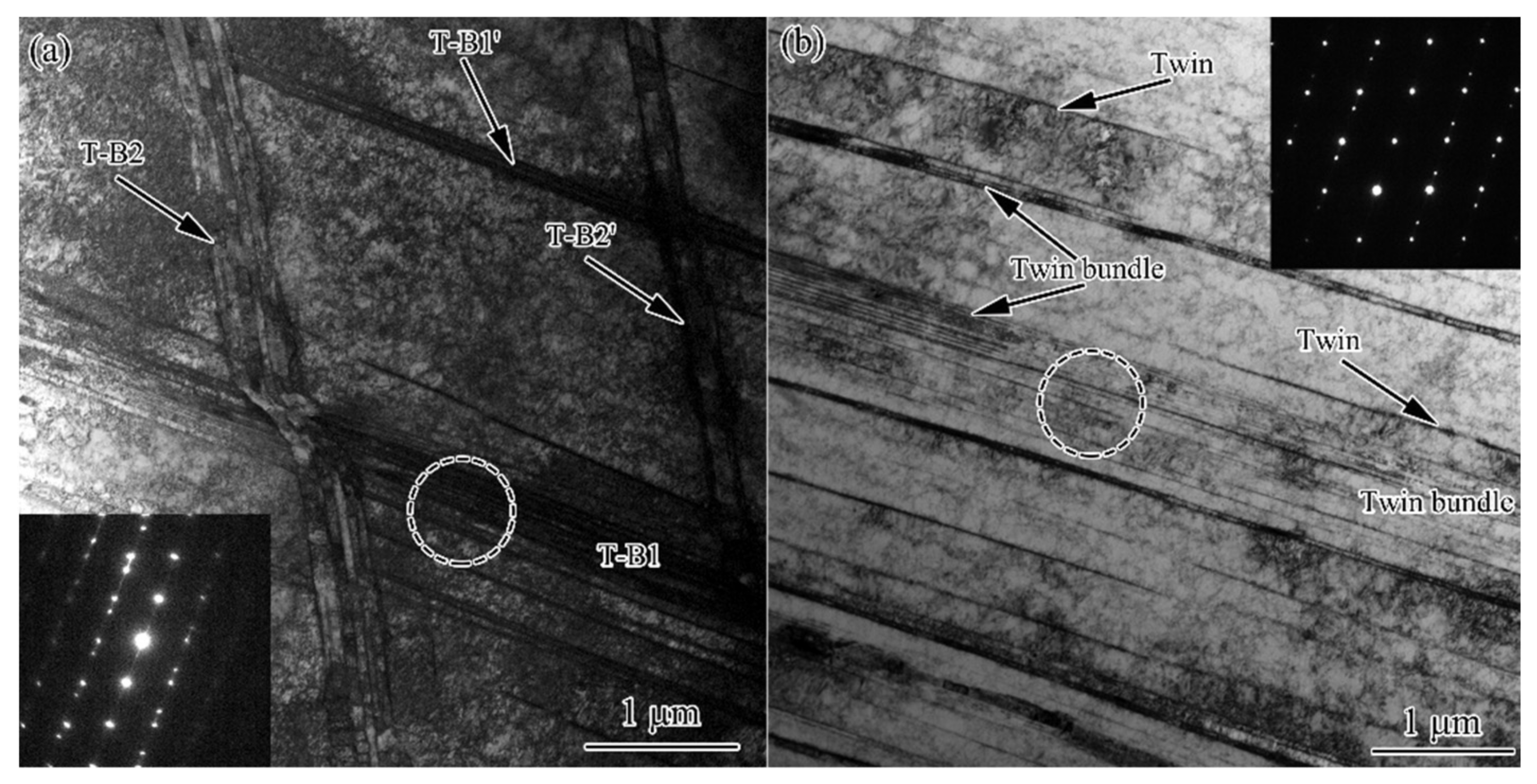 Nanomaterials 11 01769 g007 550