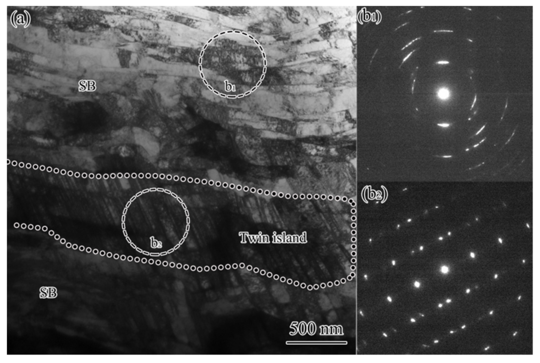 Nanomaterials 11 01769 g009 550