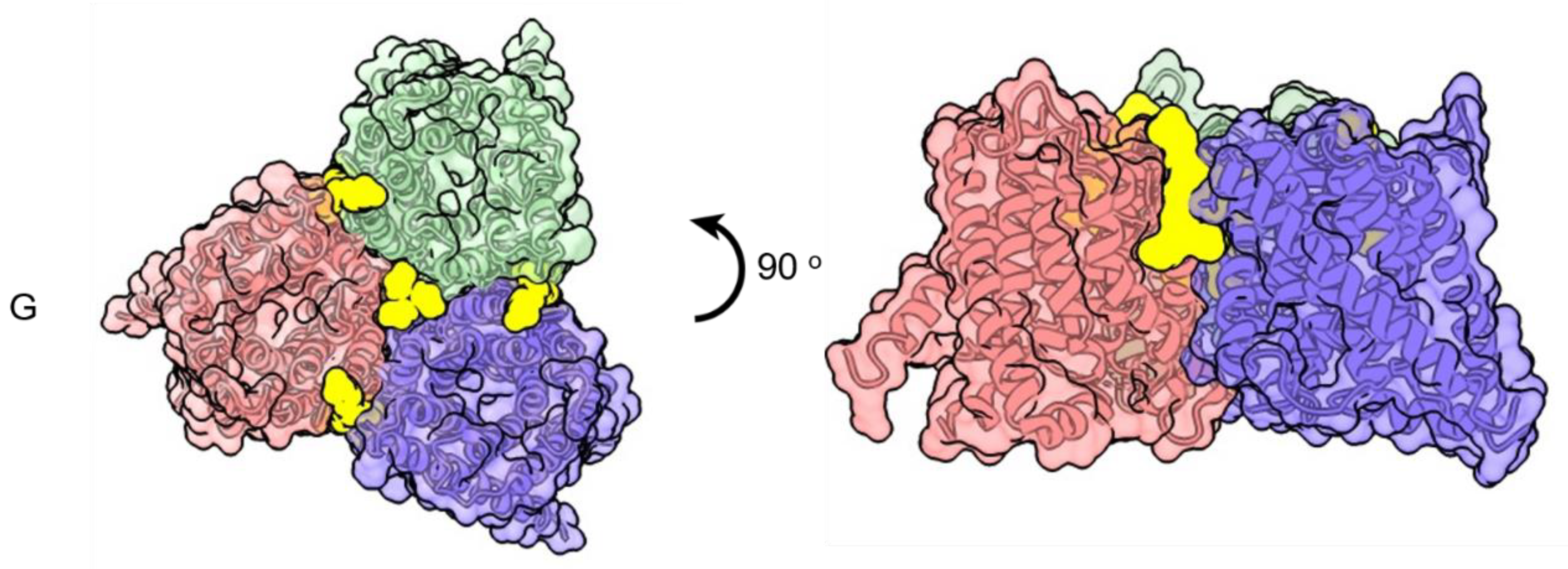 Nanomaterials 11 01771 g007c
