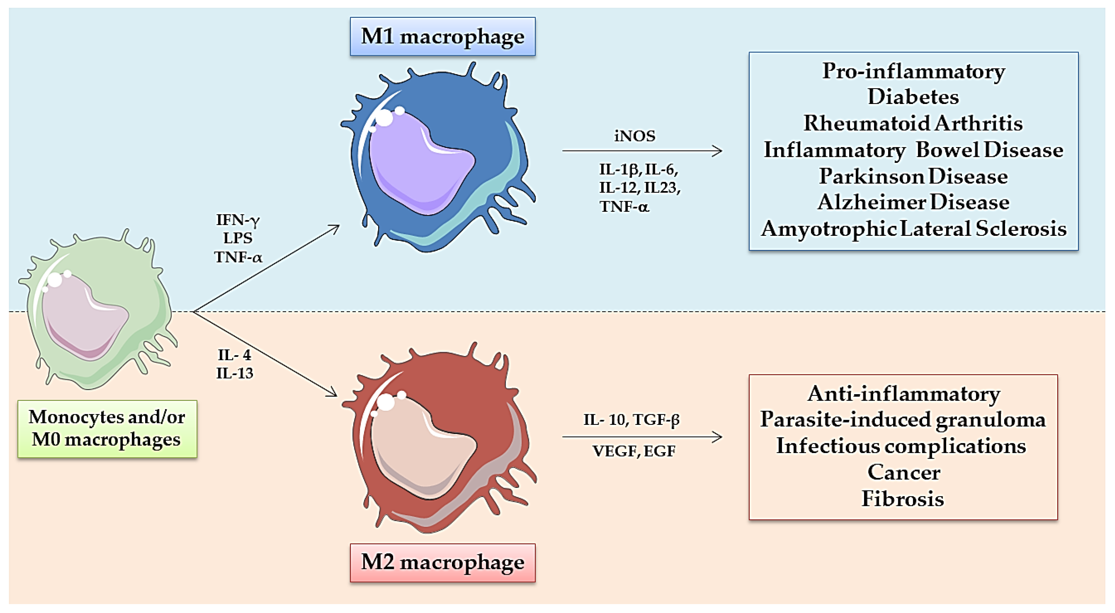Nanomaterials 11 01784 g001