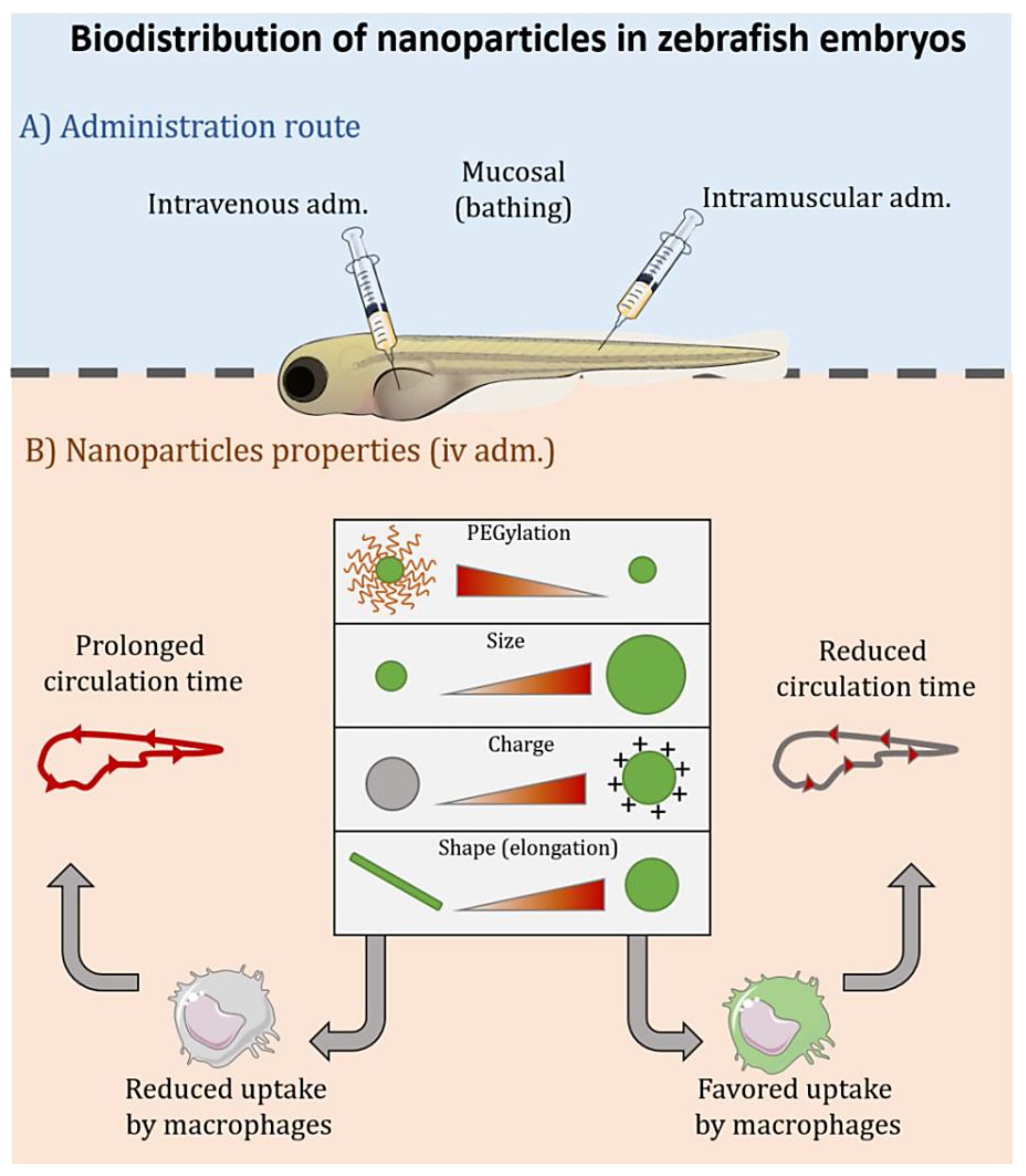 Nanomaterials 11 01784 g002