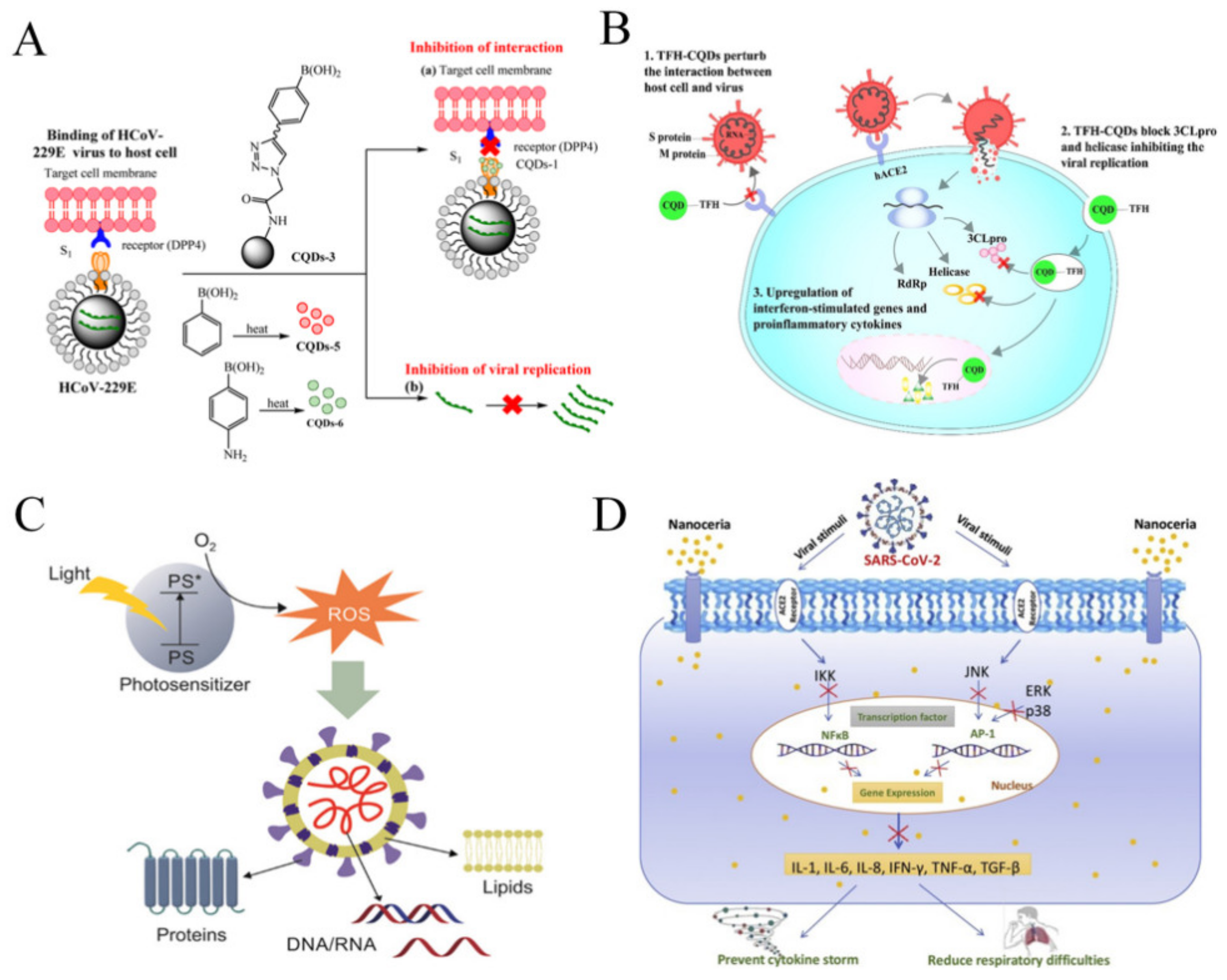 Nanomaterials 11 01788 g004