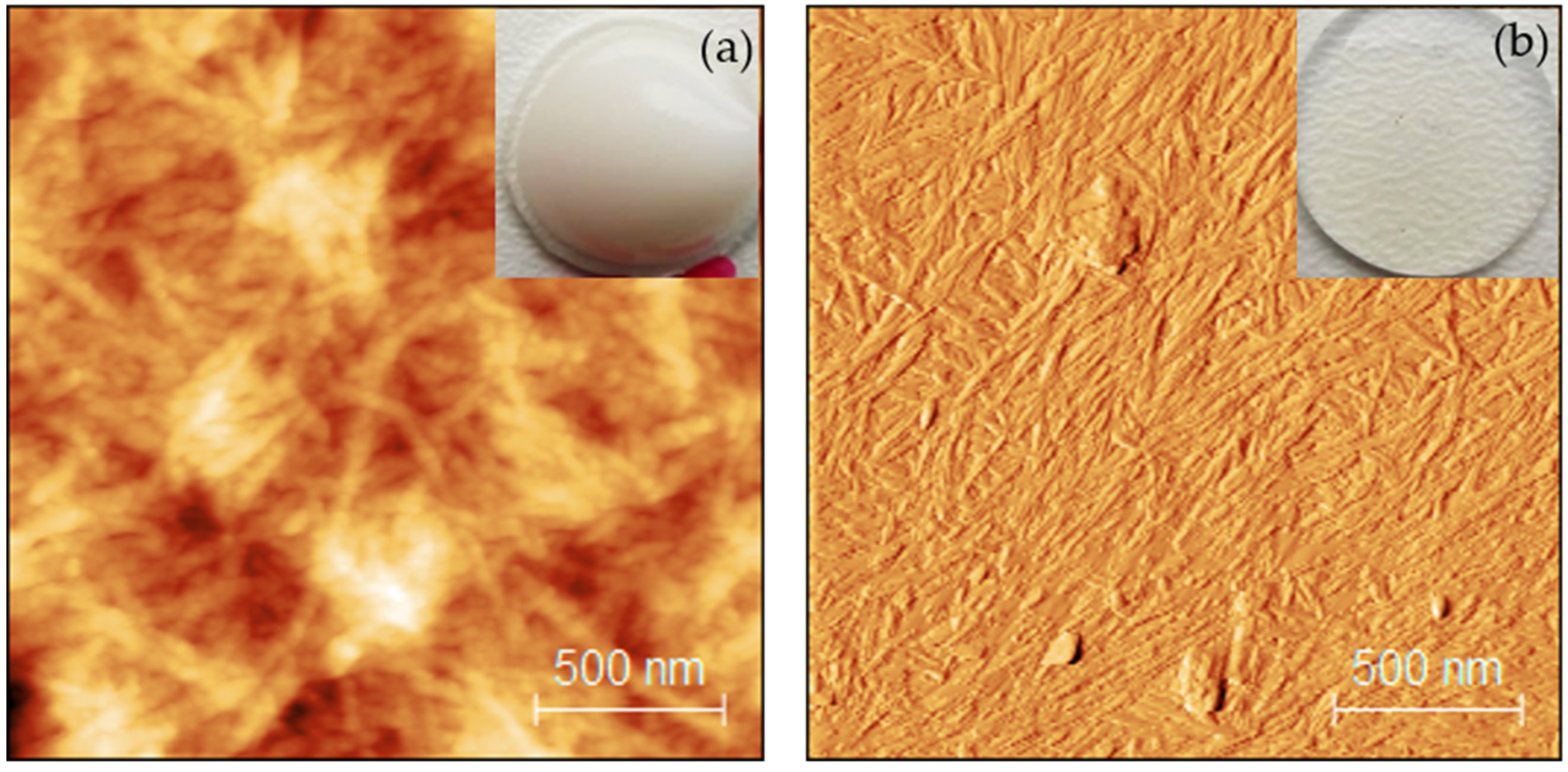 Nanomaterials 11 01791 g001