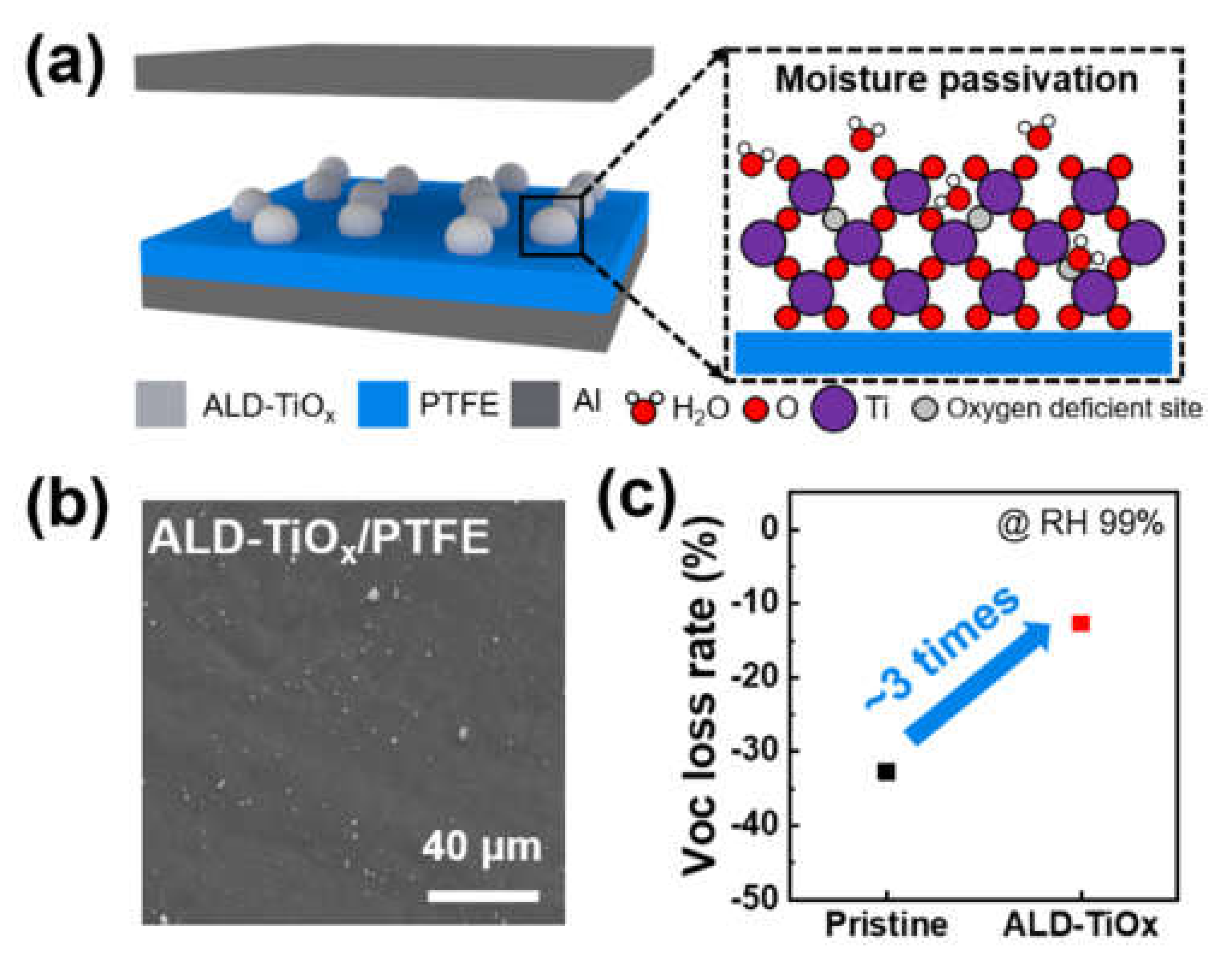Nanomaterials 11 01795 g001