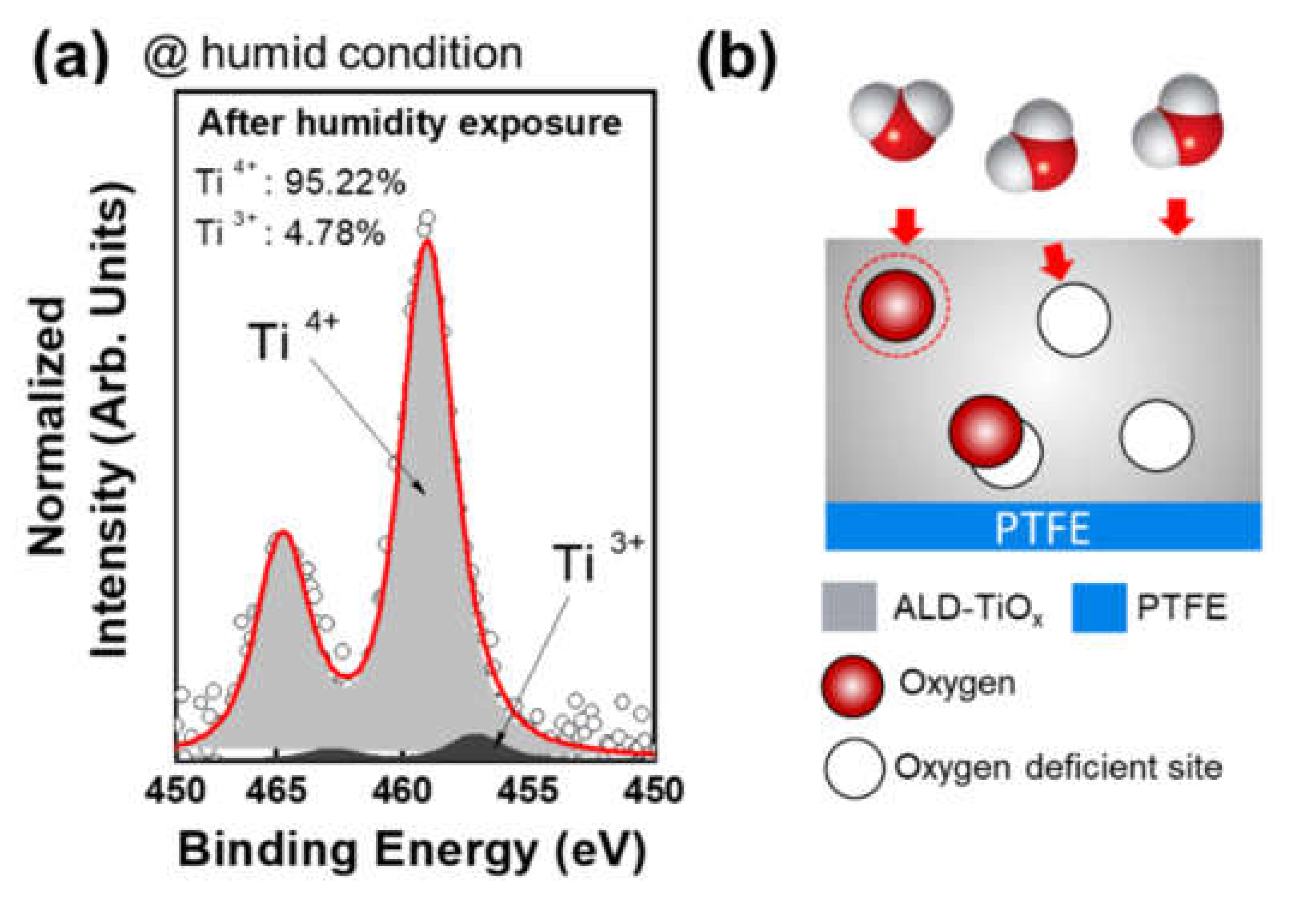 Nanomaterials 11 01795 g005