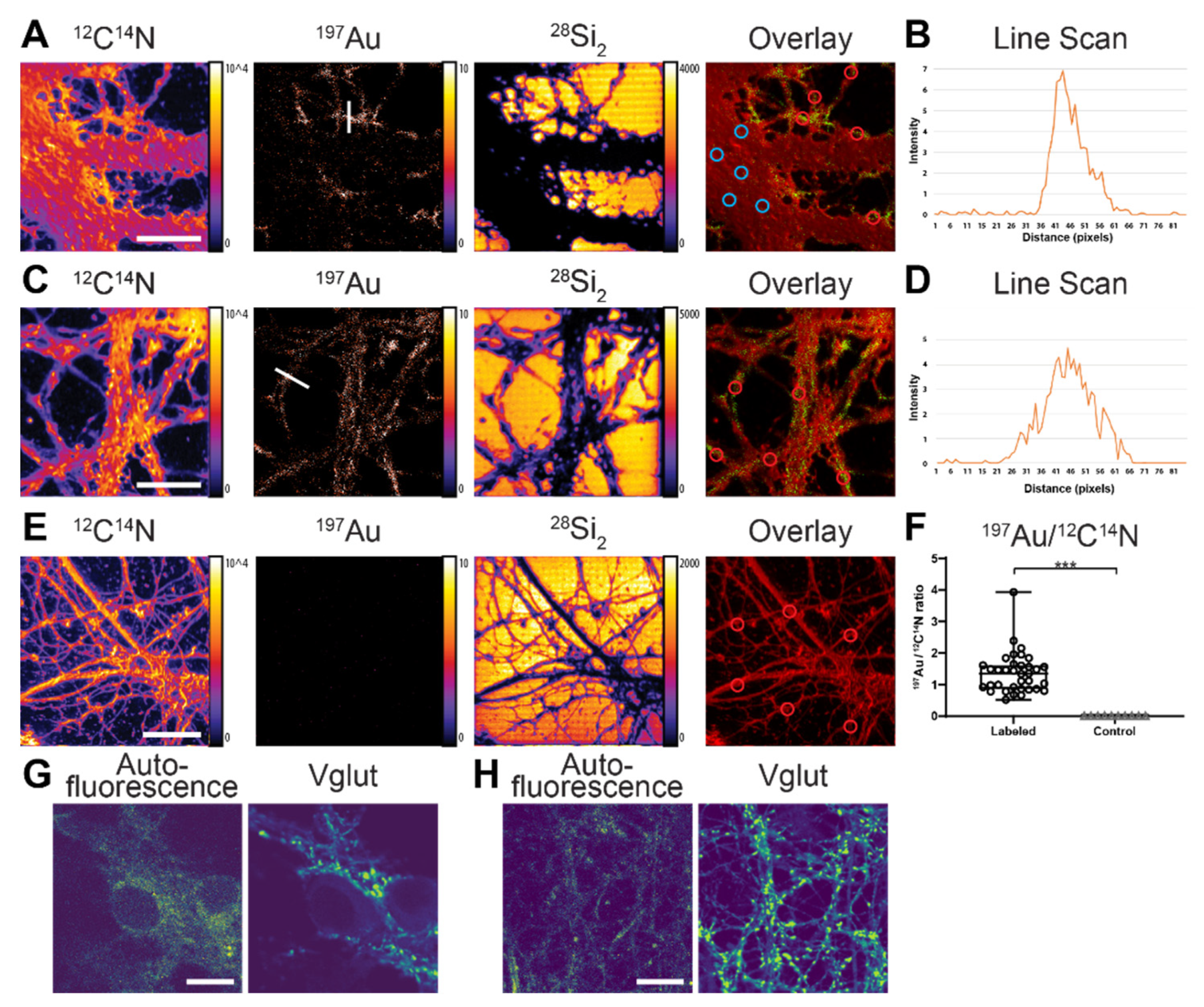 Nanomaterials 11 01797 g002