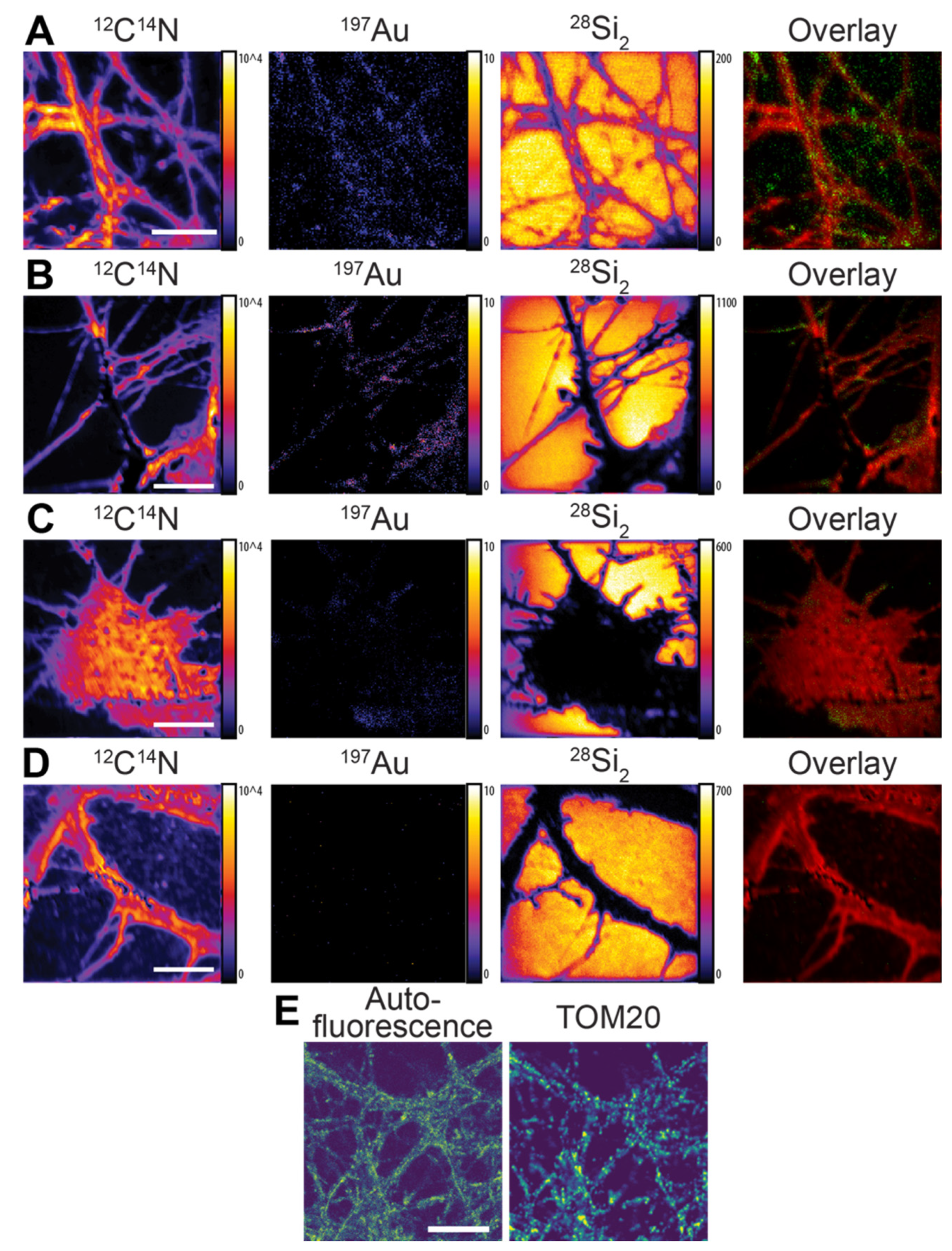 Nanomaterials 11 01797 g003