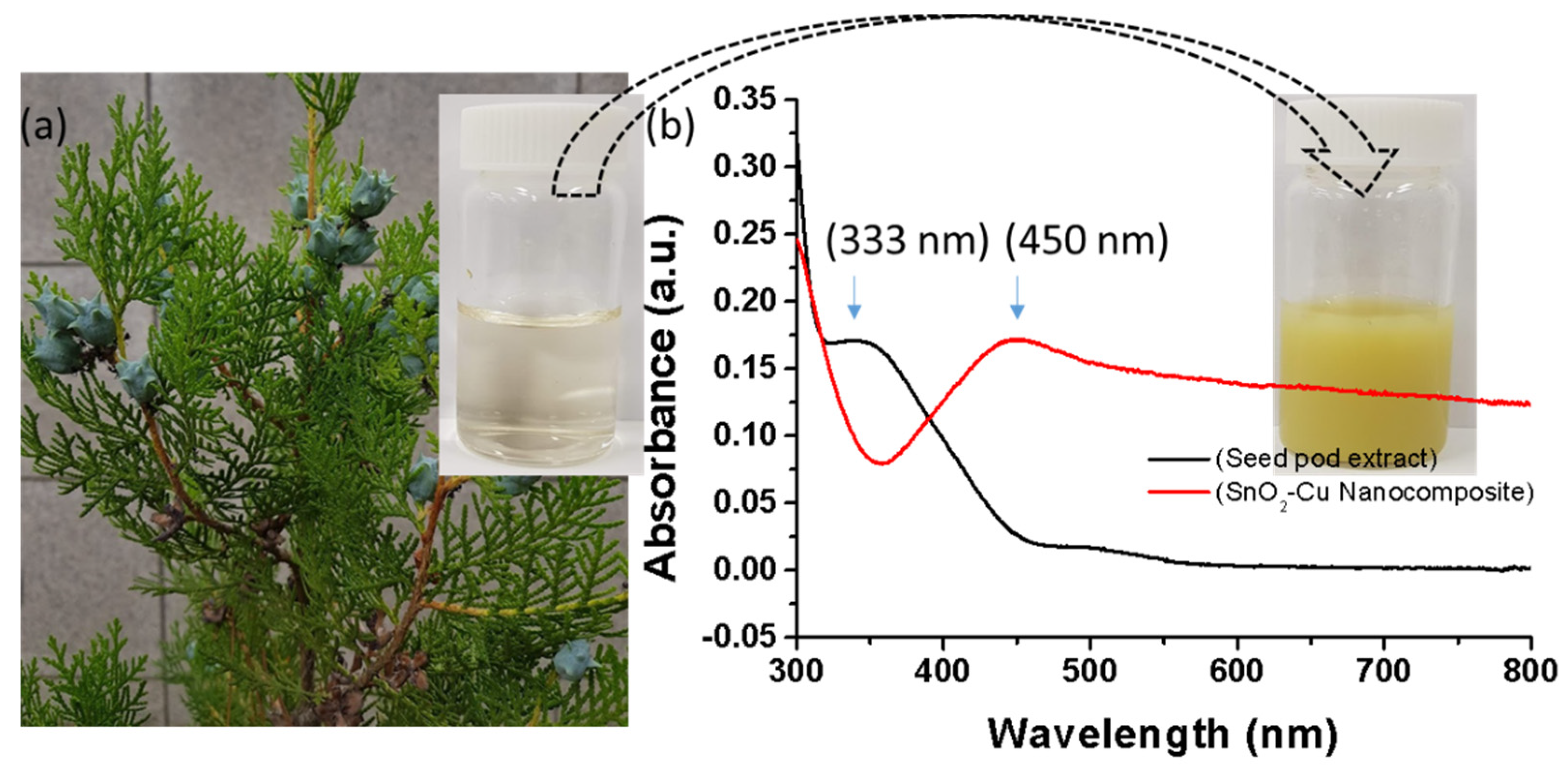 Nanomaterials 11 01798 g001